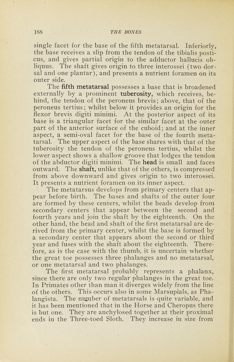 single facet for the base of the fifth metatarsal. Interiorly, the base receives a slip from the tendon of the tibialis posti- cus, and gives partial origin to the adductor hallucis ob- liquus. The shaft gives origin to three interossei (two dor- sal and one plantar), and presents a nutrient foramen on its outer side. The fifth metatarsal possesses a base that is broadened externally by a prominent tuberosity, which receives, be- hind, the tendon of the peroneus brevis; above, that of the peroneus tertius; whilst below it provides an origin for the flexor brevis digiti minimi. At the posterior aspect of its base is a triangular facet for the similar facet at the outer part of the anterior surface of the cuboid; and at the inner aspect, a semi-oval facet for the base of the fourth meta- tarsal. The upper aspect of the base shares with that of the tuberosity the tendon of the peroneus tertius, whilst the lower aspect shows a shallow groove that lodges the tendon of the abductor digiti minimi. The head is small and faces outward. The shaft, unlike that of the others, is compressed from above downward and gives origin to two interossei. It presents a nutrient foramen on its inner aspect. The metatarsus develops from primary centers that ap- pear before birth. The bases and shafts of the outer four are formed by these centers, whilst the heads develop from secondary centers that appear between the second and fourth years and join the shaft by the eighteenth. On the other hand, the head and shaft of the first metatarsal are de- rived from the primary center, whilst the base is formed by a secondary center that appears about the second or third year and fuses with the shaft about the eighteenth. There- fore, as is the case with the thumb, it is uncertain whether the great toe possesses three phalanges and no metatarsal, or one metatarsal and two phalanges. The first metatarsal probably represents a phalanx, since there are only two regular phalanges in the great toe. In Primates other than man it diverges widely from the line of the others. This occurs also in some Marsupials, as Pha- langista. The number of metatarsals is quite variable, and it has been mentioned that in the Horse and Cheropus there is but one. They are anchylosed together at their proximal ends in the Three-toed Sloth. They increase in size from