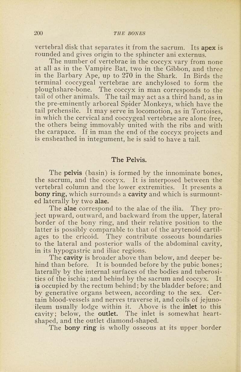 vertebral disk that separates it from the sacrum. Its apex is rounded and gives origin to the sphincter ani externus. The number of vertebrae in the coccyx vary from none at all as in the Vampire Bat, two in the Gibbon, and three in the Barbary Ape, up to 270 in the Shark. In Birds the terminal coccygeal vertebrae are anchylosed to form the ploughshare-bone. The coccyx in man corresponds to the tail of other animals. The tail may act as a third hand, as in the pre-eminently arboreal Spider Monkeys, which have the tail prehensile. It may serve in locomotion, as in Tortoises, in which the cervical and coccygeal vertebrae are alone free, the others being immovably united with the ribs and with the carapace. If in man the end of the coccyx projects and is ensheathed in integument, he is said to have a tail. The Pelvis. The pelvis (basin) is formed by the innominate bones, the sacrum, and the coccyx. It is interposed between the vertebral column and the lower extremities. It presents a bony ring, which surrounds a cavity and which is surmount- ed laterally by two alae. The alae correspond to the alae of the ilia. They pro- ject upward, outward, and backward from the upper, lateral border of the bony ring, and their relative position to the latter is possibly comparable to that of the arytenoid cartil- ages to the cricoid. They contribute osseous boundaries to the lateral and posterior walls of the abdominal cavity, in its hypogastric and iliac regions. The cavity is broader above than below, and deeper be- hind than before. It is bounded before by the pubic bones; laterally by the internal surfaces of the bodies and tuberosi- ties of the ischia; and behind by the sacrum and coccyx. It is occupied by the rectum behind; by the bladder before; and by generative organs between, according to the sex. Cer- tain blood-vessels and nerves traverse it, and coils of jejuno- ileum usually lodge within it. Above is the inlet to this cavity; below, the outlet. The inlet is somewhat heart- shaped, and the outlet diamond-shaped. The bony ring is wholly osseous at its upper border