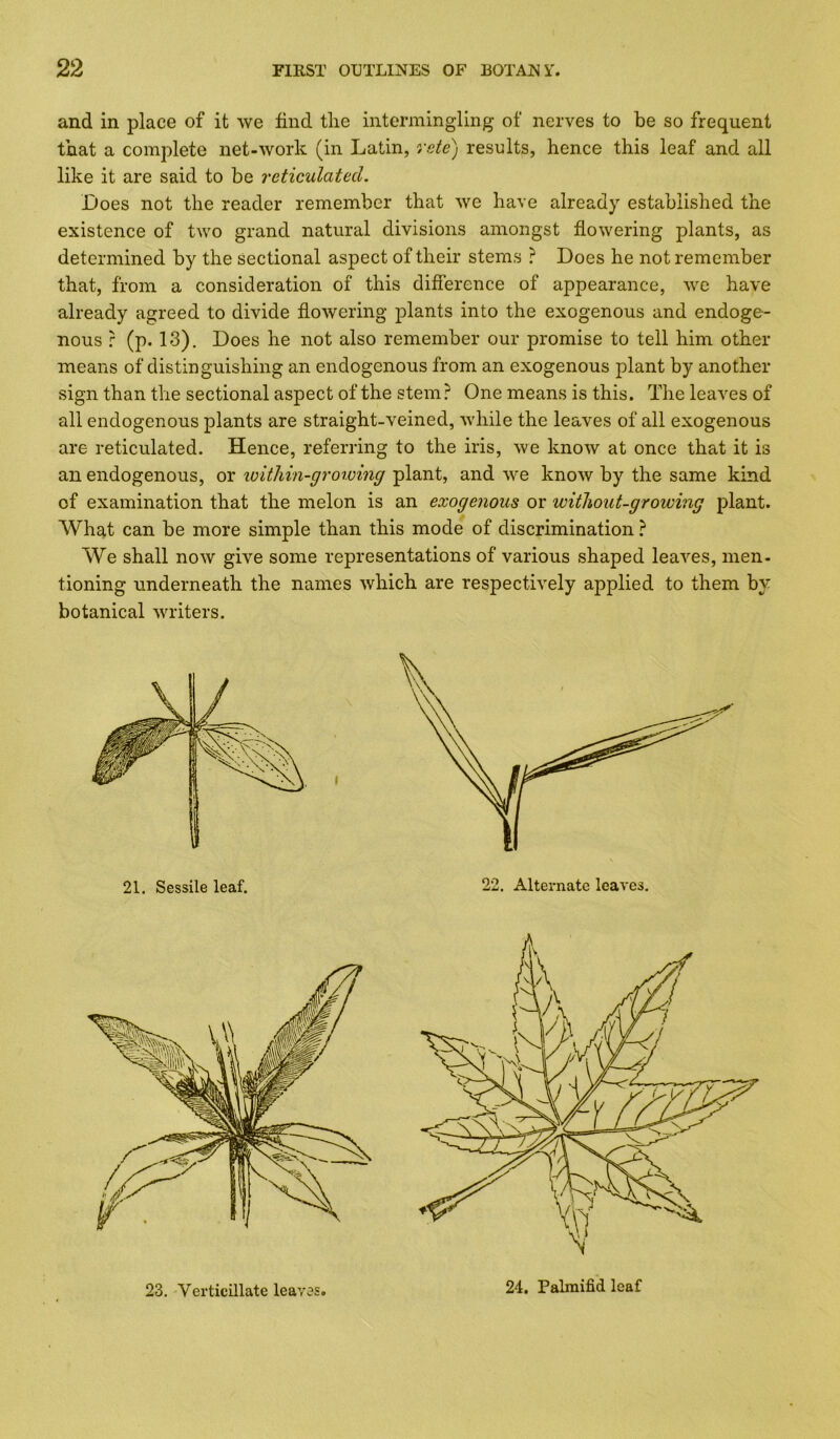 and in place of it we find tlie intermingling of nerves to be so frequent that a complete net-work (in Latin, rete) results, hence this leaf and all like it are said to be reticulated. Does not the reader remember that we have already established the existence of two grand natural divisions amongst flowering plants, as determined by the Sectional aspect of their stems ? Does he not remember that, from a consideration of this difference of appearance, we have already agreed to divide flowering plants into the exogenous and endoge- nous : (p. 13). Does he not also remember our promise to tell him other means of distinguishing an endogenous from an exogenous plant by another sign than the sectional aspect of the stem? One means is this. The leaves of all endogenous plants are straight-veined, while the leaves of all exogenous are reticulated. Hence, referring to the iris, we know at once that it is an endogenous, or loithin-grorving plant, and we know by the same kind of examination that the melon is an exogenous or without-growing plant. What can be more simple than this mode of discrimination ? We shall now give some representations of various shaped leaves, men- tioning underneath the names which are respectively applied to them by botanical writers. 23. Verticillate leaves. 24. Palmifid leaf