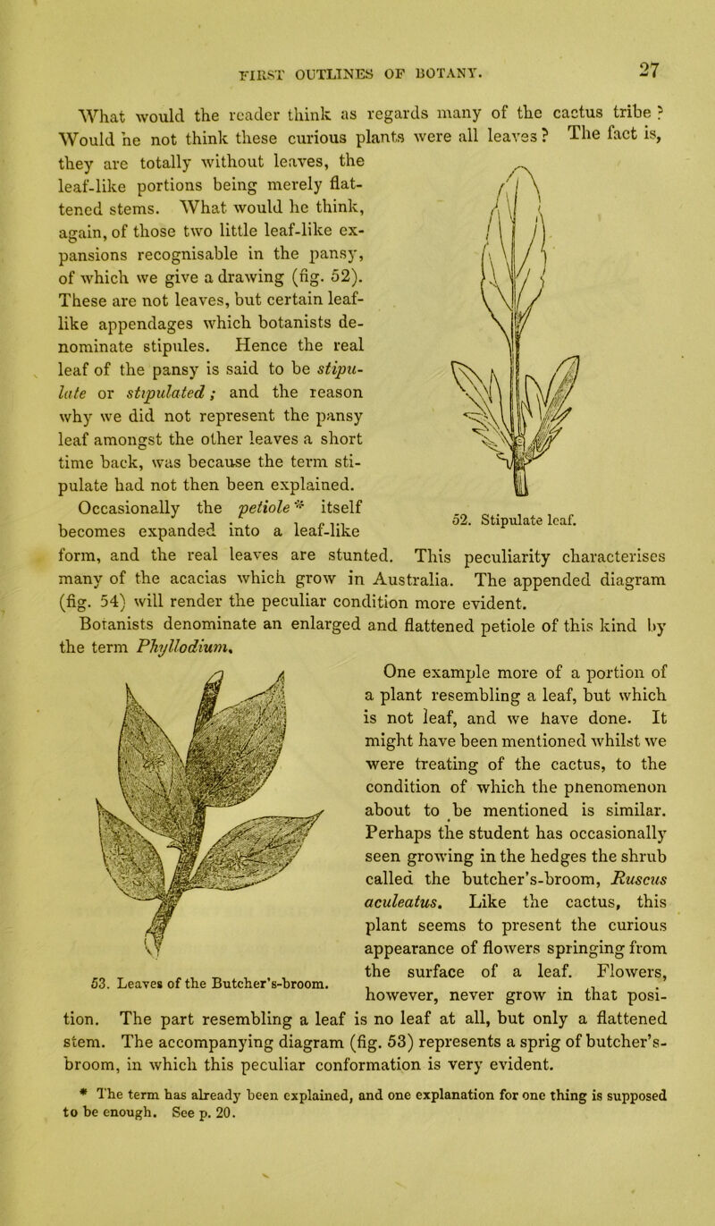 What would the reader think as regards many of the cactus tribe ? Would he not think these curious plants were all leaves ? The fact is, they are totally without leaves, the leaf-like portions being merely flat- tened stems. What would he think, asain, of those two little leaf-like ex- pansions recognisable in the pansy, of which we give a drawing (ng. 52). These are not leaves, but certain leaf- like appendages which botanists de- nominate stipules. Hence the real leaf of the pansy is said to be stipu- late or stipulated; and the reason why we did not represent the pansy leaf amongst the other leaves a short time back, was because the term sti- pulate had not then been explained. Occasionally the petiole itself becomes expanded into a leaf-like form, and the real leaves are stunted. This peculiarity characterises many of the acacias which grow in Australia. The appended diagram (fig. 54) will render the peculiar condition more evident. Botanists denominate an enlarged and flattened petiole of this kind by the term Phyllodium, One example more of a portion of a plant resembling a leaf, but which is not leaf, and we have done. It might have been mentioned whilst we were treating of the cactus, to the condition of which the pnenomenon about to be mentioned is similar. Perhaps the student has occasionally seen growing in the hedges the shrub called the butcher’s-broom, Ruscus aculeatus. Like the cactus, this plant seems to present the curious appearance of flowers springing from the surface of a leaf. Flowers, however, never grow in that posi- tion. The part resembling a leaf is no leaf at all, but only a flattened stem. The accompanying diagram (fig. 53) represents a sprig of butcher’s- broom, in which this peculiar conformation is very evident. * The term has already been explained, and one explanation for one thing is supposed to be enough. See p. 20. 53. Leaves of the Butcher’s-broom.