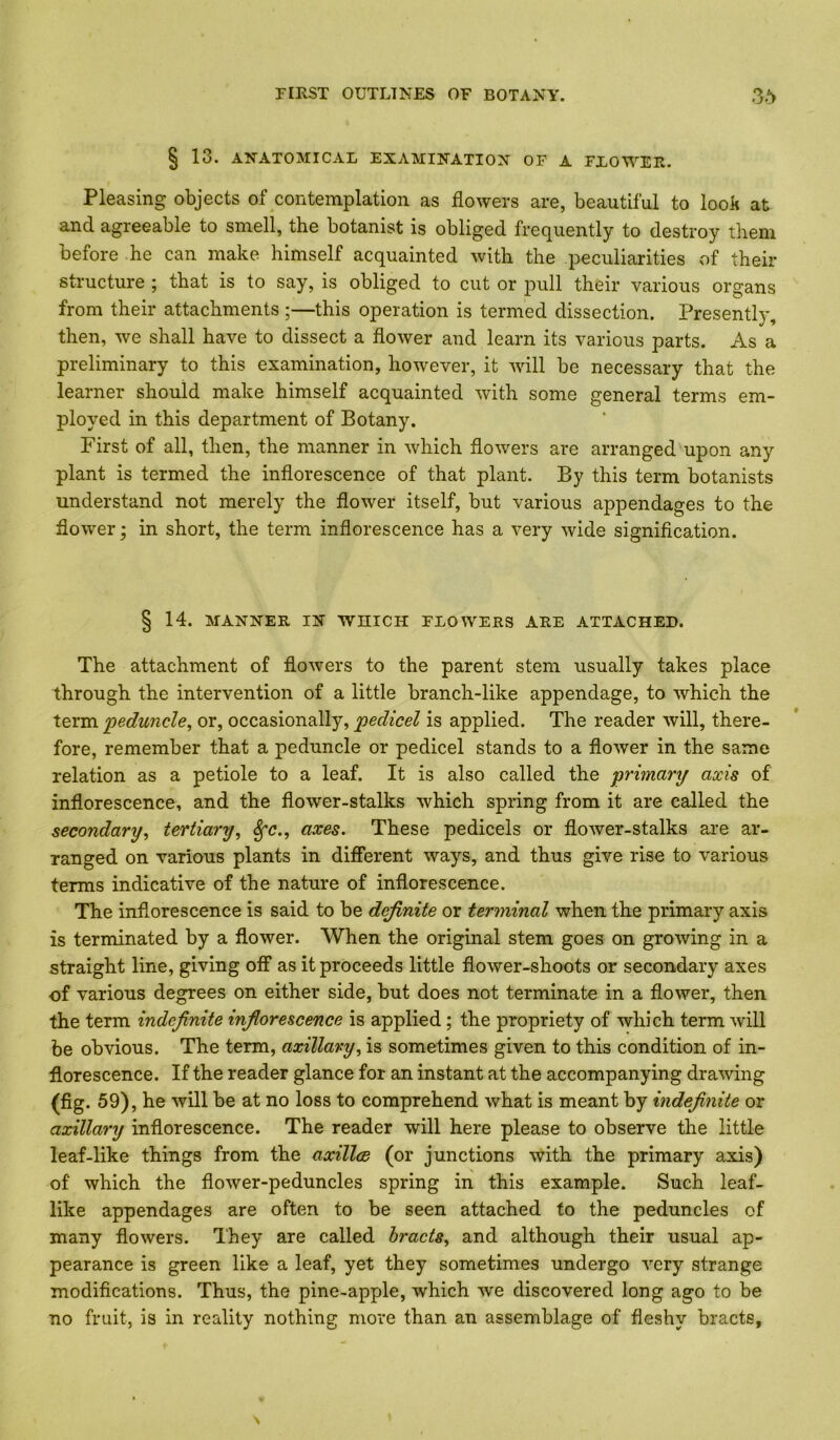 § 13. ANATOMICAL EXAMINATION OF A FLOWEE. Pleasing objects of contemplation as flowers are, beautiful to look at and agreeable to smell, the botanist is obliged frequently to destroy them before he can make himself acquainted with the peculiarities of their structure ; that is to say, is obliged to cut or pull their various organs from their attachments ;—this operation is termed dissection. Presently, then, we shall have to dissect a flower and learn its various parts. As a preliminary to this examination, however, it will be necessary that the learner should make himself acquainted with some general terms em- ployed in this department of Botany. First of all, then, the manner in which flowers are arranged upon any plant is termed the inflorescence of that plant. By this term botanists understand not merely the flower itself, but various appendages to the flower; in short, the term inflorescence has a very wide signification. § 14. MANNER IN WmCH FLOWERS ARE ATTACHED. The attachment of flowers to the parent stem usually takes place through the intervention of a little branch-like appendage, to which the term 'peduncle^ or, occasionally, pedicel is applied. The reader will, there- fore, remember that a peduncle or pedicel stands to a flower in the same relation as a petiole to a leaf. It is also called the primary axis of inflorescence, and the flower-stalks which spring from it are called the secondary^ tertiary^ ^c., axes. These pedicels or flower-stalks are ar- ranged on various plants in different ways, and thus give rise to various terms indicative of the nature of inflorescence. The inflorescence is said to be definite or terminal when the primary axis is terminated by a flower. When the original stem goes on growing in a straight line, giving off as it proceeds little flower-shoots or secondary axes of various degrees on either side, but does not terminate in a flower, then the term indefinite inflorescence is applied; the propriety of which term will be obvious. The term, axillary., is sometimes given to this condition of in- florescence. If the reader glance for an instant at the accompanying drawing (fig. 59), he will be at no loss to comprehend what is meant by indefinite or axillary inflorescence. The reader will here please to observe the little leaf-like things from the axillm (or junctions with the primary axis) of which the flower-peduncles spring in this example. Such leaf- like appendages are often to be seen attached to the peduncles of many flowers. They are called bracts^ and although their usual ap- pearance is green like a leaf, yet they sometimes undergo very strange modifications. Thus, the pine-apple, which we discovered long ago to be no fruit, is in reality nothing more than an assemblage of fleshy bracts,