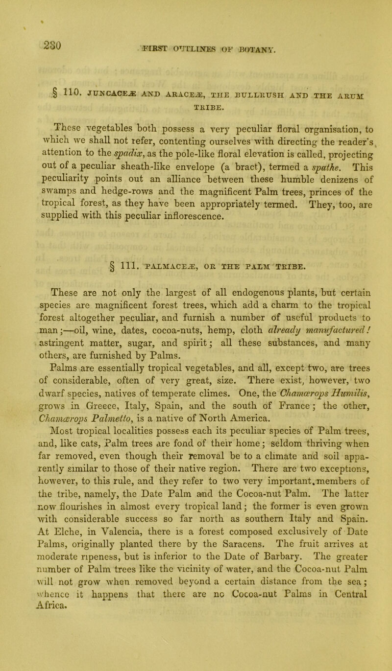 § 110. JUNCACE.® AND ARACEiE, THE DULLlltrSH AND THE ARUM TRIBE. These vegetables both possess a very peculiar floral organisation, to which we shall not refer, contenting ourselves with directing the reader’s attention to the spadix, as the pole-like floral elevation is called, projecting out of a peculiar sheath-like envelope (a bract), termed a spathe. This peculiarity points out an alliance between these humble denizens of swamps and hedge-rows and the magnificent Palm trees, princes of the tropical forest, as they have been appropriately termed. They, too, are supplied with this peculiar inflorescence. § 111. P.ALMACEiE, OR THE PALM TRIBE. These are not only the largest of all endogenous plants, but certain species are magnificent forest trees, which add a charm to the tropical forest altogether peculiar, and furnish a number of useful products to man;—oil, wine, dates, cocoa-nuts, hemp, cloth already manvfactured! astringent matter, sugar, and spirit; all these substances, and many others, are furnished by Palms. Palms are essentially tropical vegetables, and all, except two, are trees of considerable, often of very great, size. There exist, however, two dwarf species, natives of temperate climes. One, the Chamoerops Humilis, grows in Greece, Italy, Spain, and the south of France ; the other, Chamarops Falmetto, is a native of North America. Most tropical localities possess each its peculiar species of Palm trees, and, like cats. Palm trees are fond of their home; seldom thriving when far removed, even though their removal be to a climate and soil appa- rently similar to those of their native region. There are two exceptions, however, to this rule, and they refer to two very important, members of the tribe, namely, the Date Palm and the Cocoa-nut Palm. The latter now flourishes in almost every tropical land; the former is even grown with considerable success so far north as southern Italy and Spain. At Elche, in Valencia, there is a forest composed exclusively of Date Palms, originally planted there by the Saracens. The fruit arrives at moderate ripeness, but is inferior to the Date of Barbary. The greater number of Palm trees like the vicinity of water, and the Cocoa-nut Palm will not grow when removed beyond a certain distance from the sea; whence it happens that there are no Cocoa-nut Palms in Central Africa.