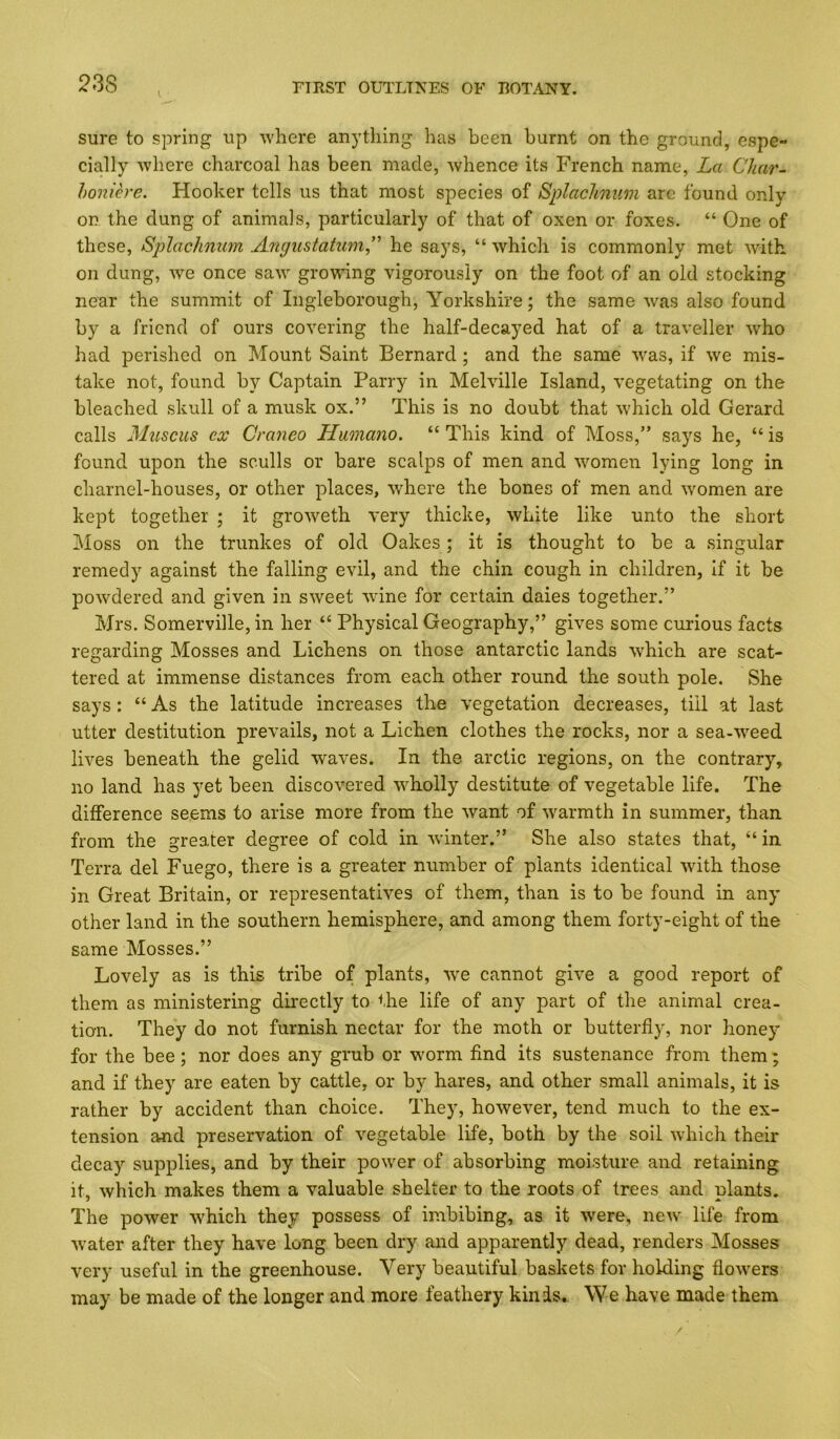 sure to spring up -where anything has been burnt on the ground, espe- cially where charcoal has been made, whence its French name, La Char- honiere. Hooker tells us that most species of Splachniim are found only on the dung of animals, particularly of that of oxen or foxes. “ One of these, Splachnum A7igustatum” he says, “ which is commonly met with on dung, we once saw growing vigorously on the foot of an old stocking near the summit of Ingleborough, Yorkshire; the same was also found by a friend of ours covering the half-decayed hat of a traveller who had perished on Mount Saint Bernard; and the same was, if we mis- take not, found by Captain Parry in Melville Island, vegetating on the bleached skull of a musk ox.” This is no doubt that which old Gerard calls Muscus ex Craneo Hwmano. “ This kind of Moss,” says he, “ is found upon the sculls or bare scalps of men and women lying long in charnel-houses, or other places, where the bones of men and women are kept together ; it groweth very thicke, white like unto the short Moss on the trunkes of old Oakes; it is thought to be a singular remedy against the falling evil, and the chin cough in children, if it be powdered and given in sweet wine for certain dales together.” Mrs. Somerville, in her “ Physical Geography,” gives some curious facts regarding Mosses and Lichens on those antarctic lands which are scat- tered at immense distances from each other round the south pole. She says : “ As the latitude increases the vegetation decreases, till at last utter destitution prevails, not a Lichen clothes the rocks, nor a sea-weed lives beneath the gelid waves. In the arctic regions, on the contrary, no land has yet been discovered wholly destitute of vegetable life. The difference seems to arise more from the want of warmth in summer, than from the greater degree of cold in winter.” She also states that, “ in Terra del Fuego, there is a greater number of plants identical -with those in Great Britain, or representatives of them, than is to be found in any other land in the southern hemisphere, and among them forty-eight of the same Mosses.” Lovely as is this tribe of plants, -we cannot give a good report of them as ministering directly to the life of any part of the animal crea- tion. They do not furnish nectar for the moth or butterfly, nor honey for the bee; nor does any grub or -w'orm find its sustenance from them; and if they are eaten by cattle, or by hares, and other small animals, it is rather by accident than choice. They, however, tend much to the ex- tension and preservation of vegetable life, both by the soil which their decay supplies, and by their power of absorbing moisture and retaining it, which makes them a valuable shelter to the roots of trees and plants. The power which they possess of imbibing, as it -were, new life from water after they have long been dry and apparently dead, renders Mosses very useful in the greenhouse. Very beautiful baskets for holding flowers may be made of the longer and more feathery kinds. We have made them