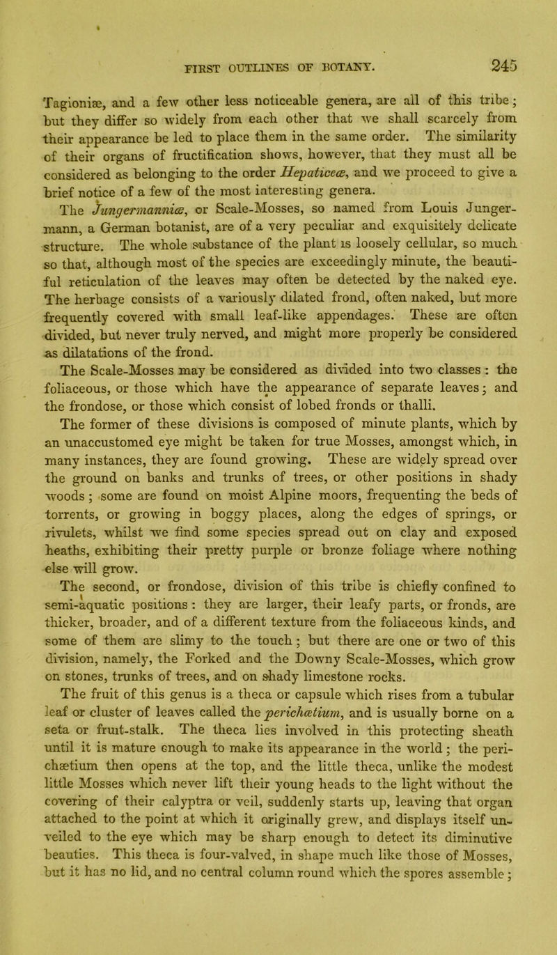 Tagioniae, and a few other less noticeable genera, are all of this tribe; but they differ so widely from each other that we shall scarcely from their appearance be led to place them in the same order. The similarity of their organs of fructification shows, however, that they must all be considered as belonging to the order HepaticecB, and we proceed to give a brief notice of a few of the most interesting genera. The JungermannicB, or Scale-Mosses, so named from Louis Junger- mann, a German botanist, are of a very peculiar and exquisitely delicate structure. The whole substance of the plant is loosely cellular, so much so that, although most of the species are exceedingly minute, the beauti- ful reticulation of the leaves may often be detected by the naked eye. The herbage consists of a variously dilated frond, often naked, but more frequently covered with small leaf-like appendages. These are often divided, but never truly nerved, and might more properly be considered as dilatations of the frond. The Scale-Mosses may be considered as dhided into two classes : the foliaceous, or those which have the appearance of separate leaves; and the frondose, or those which consist of lobed fronds or thalli. The former of these divisions is composed of minute plants, which by an unaccustomed eye might be taken for true Mosses, amongst which, in many instances, they are found growing. These are widely spread over the ground on banks and trunks of trees, or other positions in shady W'oods ; some are found on moist Alpine moors, frequenting the beds of torrents, or growing in boggy places, along the edges of springs, or rivulets, whilst we find some species spread out on clay and exposed heaths, exhibiting their pretty purple or bronze foliage where nothing else will grow. The second, or frondose, division of this tribe is chiefly confined to semi-aquatic positions : they are larger, their leafy parts, or fronds, are thicker, broader, and of a difierent texture from the foliaceous kinds, and some of them are slimy to the touch; but there are one or two of this division, namely, the Forked and the Downy Scale-Mosses, which grow on stones, trunks of trees, and on s-hady limestone rocks. The fruit of this genus is a theca or capsule which rises from a tubular leaf or cluster of leaves called the jperichcetium^ and is usually borne on a seta or fruit-stalk. The theca lies involved in this protecting sheath until it is mature enough to make its appearance in the world; the peri- chaetium then opens at the top, and the little theca, unlike the modest little Mosses which never lift their young heads to the light without the covering of their calyptra or veil, suddenly starts up, leaving that organ attached to the point at which it originally grew, and displays itself un- veiled to the eye which may be sharp enough to detect its diminutive beauties. This theca is four-valved, in shape much like those of Mosses, but it has no lid, and no central column round which the spores assemble;