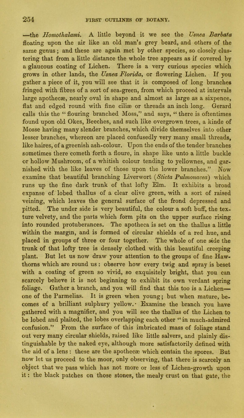—the Jlomotlialami. A little beyond it we see the Usnea Barbafa floating upon the air like an old man’s grey beard, and others of the same genus; and these are again met by other species, so closely clus- tering that from a little distance the whole tree appears as if covered by a glaucous coating of Lichen. There is a very curious species which grows in other lands, the Usnea Florida^ or flowering Lichen. If you gather a piece of it, you will see that it is composed of long branches fringed with fibres of a sort of sea-green, from which proceed at intervals large apothecse, nearly oval in shape and almost as large as a sixpence, flat and edged round with fine ciliae or threads an inch long. Gerard calls this the “ flouring branched Moss,” and says, “ there is oftentimes found upon old Okes, Beeches, and such like overgrown trees, a kinde of Mosse having many slender branches, which divide themselves into other lesser branches, whereon are placed confusedly very many small threads, like haires, of a greenish ash-colour. Upon the ends of the tender branches sometimes there cometh forth a floure, in shape like unto a little buckle or hollow Mushroom, of a whitish colour tending to yellownes, and gar- nished with the like leaves of those upon the lower branches.” Now examine that beautiful branching Liverwort {Sticta Pulmonacea) which runs up the fine dark trunk of that lofty Elm. It exhibits a broad expanse of Tobed thallus of a clear olive green, with a sort of raised veining, which leaves the general surface of the frond depressed and pitted. The under side is very beautiful, the colour a soft buff, the tex- ture velvety, and the parts which form pits on the upper surface rising into rounded protuberances. The apotheca is set on the thallus a little within the margin, and is formed of circular shields of a red hue, and placed in groups of three or four together. The whole of one s4de the trunk of that lofty tree is densely clothed with this beautiful creeping plant. But let us now draw j'our attention to the groups of fine Haw- thorns which are round us : observe how every twig and spray is beset with a coating of green so vivid, so exquisitely bright, that you can scarcely believe it is not beginning to exhibit its own verdant spring foliage. Gather a branch, and you will find that this too is a Lichen— one of the Parmelias. It is green when young; but when mature, be- comes of a brilliant sulphury yellow.* Examine the branch you have gathered with a magnifier, and you will see the thallus of the Lichen to be lobed and plaited, the lobes overlapping each other “ in much-admired confusion.” From the surface of this imbricated mass of foliage stand out very many circular shields, raised like little salvers, and plainly dis- tinguishable by the naked eye, although more satisfactorily defined with the aid of a lens: these are the apothecac which contain the spores. But now let us proceed to the moor, only observing, that there is scarcely an object that we pass which has not more or less of Lichen-growth upon it: the black patches on those stones, the mealy crust on that gate, the