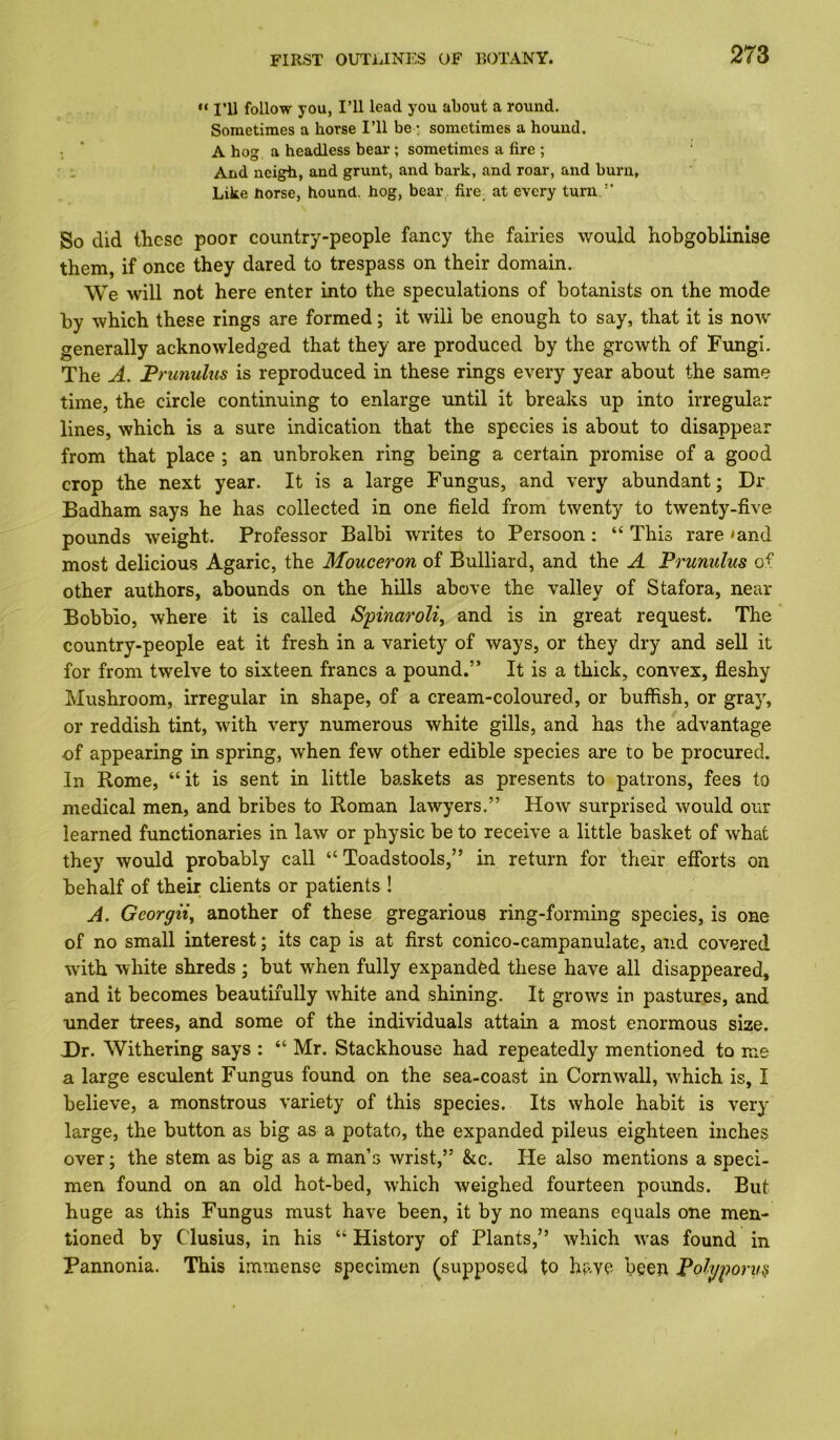 “ ITl follow you, I’ll lead you about a round. Sometimes a horse I’ll be • sometimes a hound. . ‘ A hog a headless bear; sometimes a fire ; ' - And neigh, and grunt, and bark, and roar, and burn. Like horse, hound, hog, bear, fire at every turn.” So did these poor country-people fancy the fairies would hobgoblinise them, if once they dared to trespass on their domain. We will not here enter into the speculations of botanists on the mode by which these rings are formed; it will be enough to say, that it is now generally acknowledged that they are produced by the growth of Fungi. The A, Frunulus is reproduced in these rings every year about the same time, the circle continuing to enlarge until it breaks up into irregular lines, which is a sure indication that the species is about to disappear from that place ; an unbroken ring being a certain promise of a good crop the next year. It is a large Fungus, and very abundant; Dr Badham says he has collected in one field from twenty to twenty-five pounds weight. Professor Balbi writes to Persoon: “ This rare *and most delicious Agaric, the Mouceron of Bulliard, and the A Prunulus of other authors, abounds on the hills above the valley of Stafora, near Bobbio, where it is called S'pinaroli, and is in great request. The country-people eat it fresh in a variety of ways, or they dry and sell it for from twelve to sixteen francs a pound.” It is a thick, convex, fleshy Mushroom, irregular in shape, of a cream-coloured, or huffish, or gray, or reddish tint, with very numerous white gills, and has the advantage of appearing in spring, when few other edible species are to be procured. In Rome, “it is sent in little baskets as presents to patrons, fees to medical men, and bribes to Roman lawyers.” How surprised would our learned functionaries in law or physic be to receive a little basket of what they would probably call “Toadstools,” in return for their efforts on behalf of their clients or patients ! A. Georgiiy another of these gregarious ring-forming species, is one of no small interest; its cap is at first conico-campanulate, and covered with white shreds ; but when fully expanded these have all disappeared, and it becomes beautifully white and shining. It grows in pastures, and under trees, and some of the individuals attain a most enormous size. X)r. Withering says : “ Mr. Stackhouse had repeatedly mentioned to me a large esculent Fungus found on the sea-coast in Cornwall, w'hich is, I believe, a monstrous variety of this species. Its whole habit is very large, the button as big as a potato, the expanded pileus eighteen inches over; the stem as big as a man’s wrist,” &c. He also mentions a speci- men found on an old hot-bed, which weighed fourteen pounds. But huge as this Fungus must have been, it by no means equals one men- tioned by Clusius, in his “ History of Plants,” which w'as found in Pannonia. This immense specimen (supposed to have been Polyporuff