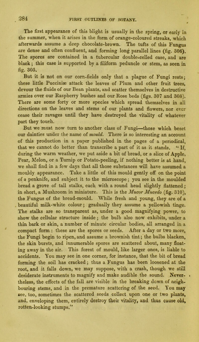 The first appearance of this blight is usually in the spring, or early in the summer, when it arises in the form of orange-coloured streaks, which afterwards assume a deep chocolate-brown. The tufts of this Fungus are dense and often confluent, and forming long parallel lines (flg. 306). The spores are contained in a tubercular double-celled case, and are black; this case is supported by a Aliform peduncle or stem, as seen in fig. 305. But it is not on our corn-fields only that a plague of Fungi rests; these little Pucciniae attack the leaves of Plum and other fruit trees, devour the fluids of our Bean plants, and scatter themselves in destructive armies over our Raspberry bushes and our Rose beds (figs. 307 and 308). There are some forty or more species which spread themselves in all directions on the leaves and stems of our plants and flowers, nor ever cease their ravages until they have destroyed the vitality of whatever part they touch. But we must now turn to another class of Fungi—those which beset our dainties under the name of mould. There is so interesting an account of this production in a paper published in the pages of a periodical, that we cannot do better than transcribe a part of it as it stands. “ If, during the warm weather, we put aside a bit of bread, or a slice of Apple, Pear, Melon, or a Turnip or Potato-peeling, if nothing better is at hand, we shall find in a few days that all those substances will have assumed a mouldy appearance. Take a little of this mould gently off on the point of a penknife, and subject it to the microscope; you see in the moulded bread a grove of tall stalks, each with a round head slightly flattened; in short, a Mushroom in miniature. This is the Mucor Mucedo (fig. 310), the Fungus of the bread-mould. While fresh and young, they are of a beautiful milk-white colour; gradually they assume a yellowish tinge. The stalks are so transparent as, under a good magnifying power, to show the cellular structure inside; the bulb also now exhibits, under a thin bark or skin, a number of minute circular bodies, all arranged in a compact form : these are the spores or seeds. After a day or two more, the Fungi begin to ripen, and assume a brownish tint; the bulbs blacken, the skin bursts, and innumerable spores are scattered about, many float- ing away in the air. This forest of mould, like larger ones, is liable to accidents. You may see in one corner, for instance, that the bit of bread forming the soil has cracked; thus a Fungus has been loosened at the root, and it falls down, we may suppose, with a crash, though we still desiderate instruments to magnify and make audible the sound. Never- • theless, the effects of the fall are visible in the breaking down of neigh- bouring stems, and in the premature scattering of the seed. You may see, too, sometimes the scattered seeds collect upon one or two plants, and, enveloping them, entirely destroy their vitality, and thus cause old, rotten-looking stumps.”