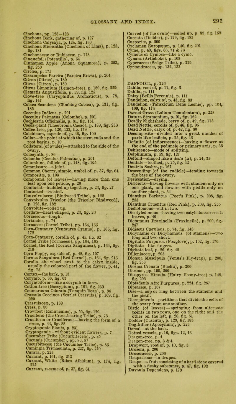 Cinchona, pp. 123—128 Cinchona Bark, gathering of, p. 127 Cinchona Calysaya, p. 124, lig. 180 Cinchona Micrantha (Cinchona of Lima), p. 125, fig. 181 Cinchonacem or Rubiacem, p. 118 Cinquefoil (Potcntilla), p. 64 Cinnamon Apple (Anona Squamosa), p. 203, fig. 250 Circaea, p. 175 Cissampelos Pareira (Pareira Brava), p. 201 Citron (Citrus), p. 180 Citrus (Citron), p. 180 Citrus Limonium (Lemon-tree), p. 180, fig. 229 Clematis Angustifolia, p. 59, tig. 125 Clove-tree (Caryophillus Aromaticus), p. 78, fig. 147 Cobaea Scandens (Climbing Cobma), p. 131, fig. 185 Cocculus Indices, p. 201 Cocculus Palmatus (Colombo), p. 201 Cochlearia Officinalis, p. 81, tig. 151 CocTa-plant (Theobroma Cacao), p. 189, fig. 236 Cofifee-tree, pp. 120, 123, fig. 179 Colchicum, capsule of, p. 48, fig. 109 Collar—the point at which the stem ends and the root begins, p. 10 Collateral (of ovules)—attached to the side of the ovary. Colocynth, p. 86 . Colombo (Coculus Palmatus), p. 201 Columbine, follicle of, p. 148, fig. 105 Commissure—a joint. Common Cherry, simple, umbel of, p. 37, fig. 64 Composite, p. 1()3 Compound (of leaves)—having more than one leaf upon one petiole, p. 20 Confluent—huddled up together, p. 23, fig. 27 Contorted—twisted. Convolvulaceae (Bindweed Tribe), p. 128 Convolvulus Tricolor (the Tricolor Bindweed), p. 128, fig. 182 Convolute—rolled up. Cordate—heart-shaped, p. 23, fig. 2G Coriaceous—tough. Coriander, p. 74 Comaceae (Cornel Tribe), pp. 164, 165 Corn-Centaui-y (Centaurea Cyanus), p. 105, fig. 172 Corn-Centaury, corolla of, p. 45, fig. 92 Cornel Tribe (Comaceae), pp. 164, 165 Cornel, the Red (Cornus Sanguinea), p. 164, fig. 216 Corn Poppy, capsule of, p. 48, fig. 107 Cornus Sanguinea (Red Cornel), p. 164, fig. 216 Corolla—the whorl next to the calyx inside, usually the coloured part of the flower, p. 41, fig. 75 Cortex—the bark, p. 13 Corymb, p. 36, fig. 63 Corymbiform—like a corymb in form. Cotton-tree (Gossypium), p. 191, fig. 239 Coumarouna Odorata (Tonquin Bean), p. 96 Crassula Coccinea (Scarlet Crassula), p. 169, fig. 220 Crassulaceae, p. 169 Cress, p. 80 Crowfoot (Ranunculus), p. 55, fig. 120 Cruciferae (the Cross-bearing Tribe), p. 78 Cruciform or Cruciferous—having the form of a cross, p. 44, fig. 88 Cryptogamic Plants, p. 231 Cryptogamic—without evident flowers, p. 7 Cucumber Tribe (Cucurbitaceae), p. 85 Cucumis (Cucumber), pp. 86, 87 Cucurbitaceae (the Cucumber Tribe), p. 85 Cumingia Trimaculata, p. 227, fig. 270 Curara, p. 223 Currant, p. 161, fig. 213 Currant, White (Ribes Albidum), p. 174, fig. 225 Currant, raceme of, p. 37, fig. 61 Curved (of the ovule)—coiled up, p. 89, fig. 1C9 Cuscuta (Dodder), p. 129, fig. 183 Cuspariae, p. 200 Cyclamen Europaeum, p. 146, fig. 201 Cyme, p. 40, figs. 66, 71 & 73 Cymous or Cymose—like a cyme. C’ynara (Artichoke), p. 108 Cyperaceae (Sedge Tribe), p. 229 Cyrtandraceae, pp. 132, 133 DAFFODIL, p. 226 Dahlia, root of, p. 11, fig. 6 Dahlia, p. Ill Daisy (Beilis Perennis), p. Ill Dandelion, calyx of, p. 43, tig. 83 Dandelion (Taraxicum Dens Leonis), pp. 104, 109, fig. 174 Darnel Grass (Lolium Temulentura), p. 228 Datura Stramonium, p. 91, fig. 162 Deadly Nightshade, berry of, p. 49, fig. 115 Dead Nettle, corolla of, p. 46, fig. 95 Dead Nettle, calyx of, p. 42, fig. 80 Decomposite—divided into a great number of parts like leaflets, p. 25, fig. 46 Definite (of inflorescence)—having a flower at the end of the peduncle or primary axis, p. 35 Dehiscence—mode of splitting. Delphinium, p. 59, fig. 127 Deltoid—shaped like a delta (a), p. 24, 35 Dentate—toothed, p. 25, fig. 42 Deutzia Scabra, p. 167 Descending (of the radicle)—tending towards the base of the ovary. Desiccation—drying. Diaecious—having flowers with stamens only on one plant, and flowers with pistils only on another plant, p. 34 Dianthus Barbatus (Poet’s Pink), p. 208, fig. 255 Dianthus Cruentus (Red Pink), p. 208, fig. 255 Dichotomous—cut in two. Dicotyledonous—having two cotyledons or seed- leaves, p. 49 Dictamnus Fraxinella (Fraxinella), p. 200, fig. 247 Didiscus Cmruleus, p. 74, fig. 143 Didynamic or Didynamous (of stamens)—two long and two short. Digitalis Purpurea (Foxglove), p. 102, fig. 170 Digitate—like fingers. Digitate leaf, p. 26, fig. 48 Dilleniaceae, p. 205 Dionsea Muscipula (Venus’s Fly-trap), p. 206, fig. 253 Diosma Crenata (Buchu), p. 200 Diosmee, pp. 199, 200 Diospyros Hirsuta (Hairy Ebony-tree) p. 148, tig. 202 Dipladenia Atro Purpurea, p. 224, fig. 267 Dipsacem, p. 107 Disc—a cup or ring between the stamens and the pistil. Dissepiments—partitions that divide the cells of the ovary from one another. Distic (of leaves)—springing from alternate points in two rows, one on the right and the other on the left, p. 26, fig. 51 Dodder (Cuscuta), p. 129, fig. 183 Dog-killer (Apocynum), p. 223 Dorsal—at the back. Dotted vessels,.p. 16, figs. 12, 13 Dragon-tree, p. 4 Dragon-tree, pp. 3 & 4 Dropwort, root of, p. 10, fig. 5 Drosera, p. 206 Droseraceaj, p. 206 Drupaceous—in drupes. Drupe—a fruit consisting of ahard stone covered with a fleshy substance, p. 47, tig. 102 Duvauia Dependens, p. 179
