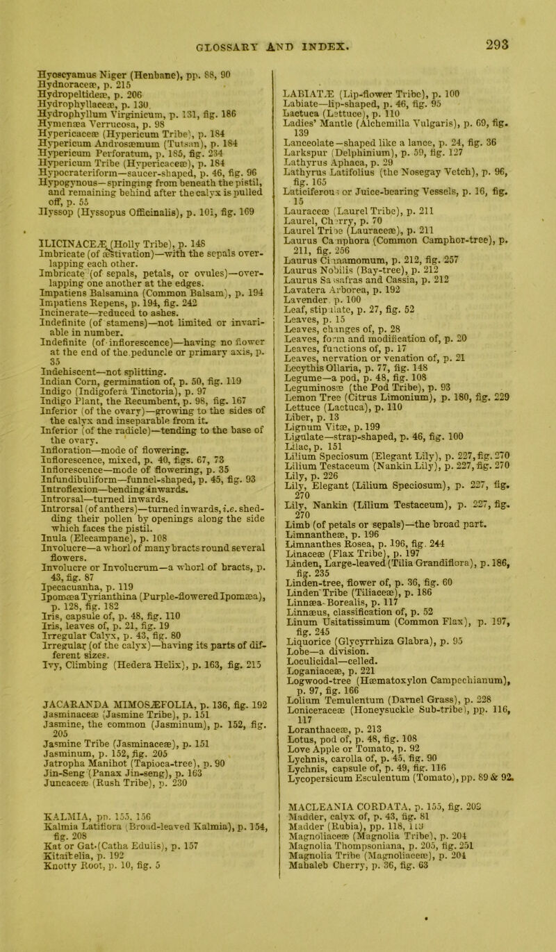 Hyoscyamus Niger (Henbane), pp. 88, 90 Hydnoracesp, p. 215 Hydropeltidea?, p. 206 Hydrophyllacecp, p. 130, Hydrophyllum Virginicum, p. 131, fig. 186 Hynienaea A'errucosa, p. 98 Hypericaceae (Hypericum Tribe', p. 184 Hypericum Androsoemum (Tutsiin), p. 184 Hypericum Perforatum, p. 185, fig. 234 Hypericum Tribe (Hypericacete), p. 184 Hypocrateriform—saucer-shaped, p. 46, fig. 96 Hypogynous—springing from beneath the pistil, and remaining behind after the calvx is pulled off, p. 55 Hyssop (Hyssopus Officinalis), p. 101, fig. 169 ILICINACE.EJHolly Tribe), p. 148 Imbricate (of estivation)—with the sepals over- lapping each other. Imbricate (of sepals, petals, or ovules)—over- lapping one another at the edges. Impatiens Balsamma (Common Balsam), p. 194 Imj)atiens Bepens, p. 194, fig. 242 Incinerate—reduced to ashes. Indefinite (of stamens)—not limited or invari- able in number. Indefinite (of-inflorescence)—having no flower at the end of the.peduncle or primarv axis, p. 35 Indehiscent—not splitting. Indian Corn, germination of, p. 50, fig. 119 Indigo (Indigofera Tinctoria), p. 97 Indigo Plant, the Recumbent, p. 98, fig. 167 Inferior (of the ovary)—growing to the sides of the calyx and inseparable from it. Inferior (of the radicle)—tending to the base of the ovary. Infloration—mode of flowering. Inflorescence, mixed, p, 40, figs. 67, 73 Inflorescence—mode of flowering, p. 35 Infundibuliform—funnel-shaped, p. 45, fig. 93 Introflexion—bending'inwards. Introrsal—turned inwards. Introrsal (of anthers)—turned inwards, i.e. shed- ding their pollen by openings along the side which faces the pistil. Inula (Elecampane), p. 108 Involucre—a whorl of many bracts round several flowers. Involucre or Involucrum—a whorl of bracts, p. 43, fig. 87 Ipecacuanha, p. 119 Ipomaea Tyrianthina (Purple-flowered Ipomaea), p. 128, fig. 182 Iris, capsule of, p. 48, fig. 110 Iris, leaves of, p. 21, fig. 19 Irregular Calyx, p. 43, fig. 80 Irregular (of the calyx)—having its parts of dif- ferent sizes. Ivy, Climbing (Hedera Helix), p. 163, fig. 215 JACARANDA MIMOS.EFOLIA, p. 136, fig. 192 Jasminaceae (Jasmine Tribe), p. 151 Jasmine, the common (Jasminum), p. 152, fig. 205 Jasmine Tribe (Jasminaceae), p. 151 Jasminum, p. 152, fig. 205 Jatropha Manihot (Tapioca-tree), p. 90 Jin-Seng (Panax Jin-seng), p. 163* Juncaceae (Rush Tribe), p. 230 KALMIA, pn. 155. 156 Kalmia Latitiora (Broad-leaved Kalmia), p. 154, fig. 208 Kat or Gat-(Catha Eduiis), p. 157 Kitaitelia, p. 192 Knotty Root, p. 10, fig. 5 LABIAT.E (Lip-flower Tribe), p. 100 Labiate—lip-shaped, p. 46, fig. 95 Lactuca (Lettuce), p. 110 Ladies’ Mantle (Alchemilla Vulgaris), p. 69, fig. 139 Lanceolate—shaped like a lance, p. 24, fig. 36 Larkspur (Delphinium), p. 59, fig. 127 Lathyrus .Aphaca, p. 29 Lathyrus Latifolius (the Nosegay Vetch), p. 96, fig. 165 Laticiferouor Juice-bearing Vessels, p. 16, fig. 15 Lauraceae (Laurel Tribe), p. 211 Laurel, Ch 'rry, p. 70 Laurel Triee (Lauraceae), p. 211 Laurus Canphora (Common Camphor-tree), p. 211, fig. 256 Laurus Cianamomum, p. 212, fig. 257 Laurus Nobilis (Bay-tree), p. 212 Laurus Sassafras and Cassia, p. 212 Lavatera Arborea, p. 192 Lavender, p.100 Leaf, stipulate, p. 27, fig. 52 Leaves, p. 15 Leaves, changes of, p. 28 Leaves, form and modification of, p. 20 Leaves, functions of, p. 17 Leaves, nervation or venation of, p. 21 Lecythis Ollaria, p. 77, fig. 148 Legume—a pod, p. 48, fig. 108 Leguminosee (the Pod Tribe), p. 93 Lemon Tree (Citrus Limonium), p. 180, fig. 229 Lettuce (Lactuca), p. 110 Liber, p. 13 Lignum Vit®, p. 199 Ligulate—strap-shaped, p. 46, fig. 100 Lilac, p. 151 Lilium Speciosum (Elegant Lily), p. 227, fig. 270 Lilium Testaceum (Nankin Lily), p. 227, fig. 270 Lily, p. 226 Lily, Elegant (Lilium Speciosum), p. 227, fig. 270 Lily, Nankin (Lilium Testaceum), p. 227, fig. 270 Limb (of petals or sepals)—the broad part. Limnanthe®, p. 196 Limnanthes Rosea, p. 196, fig, 244 Linace® (Flax Tribe), p. 197 Linden, Large-leaved(Tilia Grandiflora), p. 186, fig. 235 Linden-tree, flower of, p. .36, fig. 60 Linden Tribe (Tiliace®), p. 186 Linn®a-Borealis, p. 117 Linn®us, classification of, p. 52 Linum Usitatissimum (Common Flax), p. 197, fig. 245 Liquorice (Glycyrrhiza Glabra), p. 95 Lobe—a division. Loculieidal—celled. Loganiace®, p. 221 Logwood-tree (H®matoxjdon Campechianum), p. 97, fig. 166 Lolium Temulentum (Darnel Grass), p. 228 Lonicerace® (Honeysuckle Sub-tribe), pp. 116, 117 Loranthace®, p. 213 Lotus, pod of, p. 48, fig. 108 Love Apple or Tomato, p. 92 Lychnis, carolla of, p. 45, fig. 90 Lychnis, capsule of, p. 49, fig. 116 Lycopersicum Esculentum (Tomato), pp. 89 & 92, MACLEANIA CORDATA, p. 155, fig. 20S Madder, calyx of, p. 43, fig. 81 Madder (Rubia), pp. 118, lib Magnoliace® (Magnolia Tribe), p. 204 Magnolia Thompsoniana, p. 205, fig. 251 Magnolia Tribe (Magnoliace®), p. 204 Mabaleb Cherry, p. 36, fig. 63