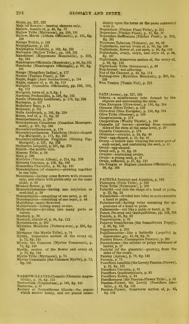 Maize, pp. 227, 223 Male (of flowers)—bearing stamens only. Mallow, fascicle of, p. 40, fig. 72 Mallow Tribe (Malvaceae), pp. 189, 191 Mallow, Marsh (Althaea Officinalis), p. 191, fig. 238 Malope Trificla, p. 192 Malpighiace®, p. 181 Malphighia Volubilis, p. 182, fig. 231 Malvaceae (Mallow Tribe), pp. 189, 191 Manchineel (Hippomane Mancinella), p. 219, fig. 264 Mandragora Officinalis (Mandrake), p. 90, fig.161 Mandrake (Mandragora Officinalis), p. 90, fig. 161 Mango (Mangifera Indica), p. 177 Manioc (Tapioca Plant), p. 220 Maple, Sugar (Acer Saccharinum), p. 184 Maple, samara of, p. 49, fig. 114 Marigold (Calendula Officinalis), pp. 104, 109, fig. 173 Marigold, torus of, p. 6, fig. 1 Martynia Proboscidea, p. 138, fig. 193 Mastic (Pistachia Lentiscus), p. 176, fig. 226 Maytenus, p. 157 Medullary Kays, p. 13 Meliacete, p. 181 Melia Azederach, p. 181, fig. 230 Melon, leaf of, p. 21, fig. 20 Menispermacese, p. 200 Menispermum Canadense (Canadian Menesper- mum), p. 201, fig. 248 Mesembryanthemaceae, p. 170 Mesembr'yanthemum Falciform (Sickle-shaped Fig-Marigold), p. 172, fig. 223 Mesembryanthemum Fulgidum (Shining Fig- Marigold), p. 227, fig. 222 Methonica Leopoldi, p. 227, fig. 270 Midrib—the middle vein. Mimosa Tribe, p. 94 Mint, p. 100 Mistletoe (Viscum Album), p. 214, fig. 259 Mitraria Coccinea, p. 136, fig. 190 Momordica Charantia, p. 86, fig. 155 Monadelphous (of stamens)—growing together in one tube. Montecious—having some fiowers with stamens only, and others with pistils only on the same plant, p. 34 Monkey-flower, p. 103 Monocotyledonous—having one cotyledon or seed-leaf, p. 50 Monopetalous—consisting of one petal, p. 44 Monosepalous—consisting of one sepal, p. 44 Multifloral—manj'-flowered. Multiovulate—having many ovules. Multi valvular—dividing into many parts or valves. Mustard, p. 80 Mustard, silicule of, p. 48, fig. 112 Myristicaceae, p. 202 Mvristica Moschata (Nutmeg-tree), p. 203, fig. 249 Myrtace® (the Myrtle Tribe), p. 74 Myrtle, transverse section of the ovary of, p. 75, fig. 145 Myrtle, the Common (Myrtus Communis), p. 75, fig. 146 Myrtle, section of the flower and ovary of, p. 75, fig. 144 Myrtle Tribe (MyTtaceaj), p. 74 Mvrtus Communis (the Common Myrtle), p. 75, tig. 140 NARROW-LEAYED Clematis (Clematis Angus- lifolia), p. .59, fig. 125 Nasturtium (Tropoeolura), p. 195, fig. 243 Nectarine, p. 67 Nectary or Nectariferous Glands—the organs which secrete honey, and are placed imme- diately upon the torus or the parts connected with it. Nepentheae (Pitcher Plant Tribe),, p. 215 Nepenthes (Pitcher Plant), p. 31, fig. 57 Nepenthes Raffiesiana (Pitcher Plant), p. 216,- flg.261 Nicotiana Tabacum (Tobacco), pp. 88, 92 Nightshade, curved ovule of, p. 89, fig. 160 Nightshade, flower of, cut open, p. 88, fig. 158 Nightshade, ovary, calyx, and style of, p. 88, fig. 167 Nightshade, transverse section of, the ovary of, p. 89, fig. 159 Nightshade Tribe (Solanaccae), p. 88 Non-herent—not adhering. Nut of the Chesnut, p. 49, fig. 114 Nutmeg-tree (Myristica Moschata), p. 203, fig. 249 Nux Vomica (Vomic Nut), p. 223 OATS (Avena), pp. 227, 228 Ochrea—a membranous tube formed by the stipules and surrounding the stem. Olea Europoea (Olive-tree), p. 150, fig. 204 Oleacese (Olive Tribe), p. 150 Olive-tree (Olea Europsea), p. 150, fig. 204 Olive Tribe (Oleacece), p. 150 Onagrariacese, p. 175 Onopordium (Woolly Thistle), p. 106 Opposite (of leaves)—growing from opposite sides of the stem at the same level, p. 20 Opuntia Communis, p. 173 Orbicular—circular, p. 24, fig. 40 Oval—egg-shaped, p. 25, fig. 45 Ovary—a hollow case forming the lower part of each carpel, and containing the seed, p. 42 Ovoid—egg-shaped. Ovoid cell, p. 16, fig. 16 Ovulate—containing ovules. Ovule—a young seed, p. 57 Ovule, reflected, p. 57, fig. 124 Ox-Tongue or Bugloss (Anchusa Officinalis), p- 99, fig. 168 PACHIRA Insignis and Aquatica, p. 189 Palmacese (Palm Tribe), p. 230 Palm Tribe (Palmacese), p. 230 Palmifid—cut into the shape of a hand or palm, p. 22, fig. 24 Palmilobed—divided into lobes so as to resemble a hand or palm. Palminerved—having veins assuming the ap- pearance of a hand or palm. Palmisecate—cut like a palm or hand, p. 26 Panax Jin-seng and Quinquifolium, pp. lo3, 164 Panicle, p. 36, fig. 62 Papaveraceae, p. 61 Papaver Somniferum (the Somniferous Poppy), p. 63, fig. 130 Papayacese, p. 216 Papilionaceous—like a butterfly ( papUio) in appearance„pp. 45, 94, tig. 91 Pareira Brava (Cissampelos Pareira), p. 201 Parenchyma—the cellular or pulpy substance of leaves, p. 17 Parietal (of the placenta)—growing from the sides of the ovary. Parsley (Apium), p. 70, fig. 141 Parsnip, p. 73 Passiflora Amabilis (the Lovely Passion-Flower), p. 82, fig. 152 Passiflora Cterulea, p. 85 Passiflora Quadrangularis, p. 85 Passiflora Rubra, p. 84 Passifloracea) (the Passion-Flower Tribe), p. 81 Passion-Flower, the Lovely (Passiflora .4.ma- bilis), p. 82, fig. 152 Passion-Flower, transverse section of, p. 83, fig. 154