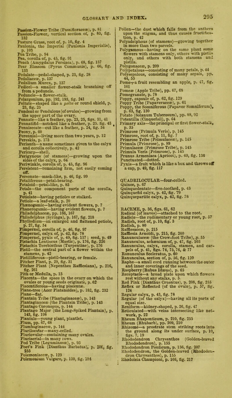 Passion-Flower Tribe (Passifloraccne), p. 81 Passion-Flower, vertical section ol', p. 83, fig. 152 Pasture Grass, root of, p. 10,.fig. 4 Paulonia, the Imperial (Paulonia Impcrialis), p. 103 Pea Tribe, p. 94 Pea, corolla of, p. 45, fig. 91 Peach (Amygdalus Persiaca), p. 68, fig. 137 Pear Blossom (Pyrus Communis), p. 66, fig. 133 Pedalate—pedal-shaped, p. 23, fig. 28 Pedaliaceae, p. 137 Pedalium Murex, p. 137 Pedicel—a smaller flower-stalk branching off from a peduncle. Peduncle—a flower-stalk. Pelargonium, pp. 192, 193, fig. 241 Peltate—shaped like a pelta or round shield, p. 23, fig. 25 Pendent or Pendulous (of ovules)—growing from the upper part of the ovary. Pennate—like a feather, pp.*23, 25, figs. 31, 41 Pennatifid—notched like a feather, p. 25. fig. 43 ^ Pennisecate—cut like a feather, p. 24, fig. 34 Peony, p. 60 Perennial—living more than two years, p. 12 Pereskia, p. 173 Perianth—a name sometimes given to the calyx and corolla collectively, p. 42 Pericarp—shell. Perigjmous (of stamens)—growing upon the sides of the calvx, p. 64 Periwinkle, corolla of, p. 45, fig. 96 Persistent—remaining firm, not easily coming off. Personate—mask-like, p. 46, fig. 99 Petaliferous—petal-bearing. Petaloid—petal-like, p. 83 Petals—the component parts of the corolla, p. 41 Petiolate—having petioles or stalked. Petiole—a leaf-stalk, p. 20 Phaenogamic—having evident flowers, p. 7 Phanerogamic—having evident flowers, p. 7 Philadelphace®, pp. 16^6, 167 Philadelphus (S.vringa), p. 167, fig. 218 Phyllodium—an enlarged and flattened petiole, p. 27, fig. 54 Pimpernel, corolla of, p. 46, fig. 97 Pimpernel, calyx of, p. 42, fig. 78 Pimpernel, pyxis of, p. 49, fig. 117 ; seed, p. 49 Pistachia Lentiscus (Mastic), p. 176, fig. 226 Pistachia Terebinthus (Turpentine), p. 176 Pistil—the central part of a flower within the stamens, p. 42 Pistilliferous—pistil-bearing, or female. Pitcher Plant, p. 29, fig. 31 Pitcher Plant (Nepenthes Rafliesiana), p. 216, fig. 261 Pith or Medulla, p. 13 Placenta—the space in the ovary on which the ovules or young seeds originate, p. 62 Placentiferous—having placentae. Plane-tree (Acer Platanoldes), p. 182, fig. 232 Plane—flat. Plantain Tribe (Plantaginaceae), p. 143 PlantaginaceoD (the Plantain Tribe), p. 143 Plantago Coronopus, p. 144 Plantago Major (the Long-Spiked Plantain), p. 143, fig. 198 Plantule—young plant, plantlet. Plum, pp. 67, 68 Plumbaginaceac, p. 144 Plurilocular—many-celled. Pluriovular—containing many ovules. Pluriserial—in many rows. Pod Tribe (Leguminosm), p. 93 Poet’s Pink (Dianthus Barbatus), p, 206, fig. 255 Polemoniaccae, p. 129 Polemoniiun Vulgare, p. 130, fig. 184 Pollen—the dust which falls from the anthers upon the stigma, and thus causes fructifica- tion, p. 42 Polyadelphous (of stamens)—growing together in more than two parcels. Polygamous—having on the s:ime plant Rome flowers with stamens only, others with pistils only, and others ■with both stamens and pistils. Polygonacese, p. 209 Polypetalous—consisting of many petals, p. 44 Polysepalous, consisting of many sepals, pp. 44, 55 Pome-7-a fruit resembling an apple, p. 47, fig. 101 Pome® (Apple Tribe), pp. 67, 68 Pomegranate, p. 78 Poppy, capsule of, p. 62, fig. 129 Poppy Tribe (Papaverace®), p. 61 Poppy, the Somniferous (Papaver Somniferum), p. 63, fig. 130 Potato (Solanum Tuberosum), pp. 88, 92 Potentilla (Cinquefoil), p. 64 Primary axis—the principal or first flower-stalk, p. 35 Primrose (Primula Veris), p. 145 Primrose, root of, p. 11, fig. 7 Primrose Tribe (Primulace®), p. 145 Primula (Primrose), p. 89 Primulace® (Primrose Tribe), p. 145 Primula Veris (Primrose), p. 145 Prunus Armeniaca (Apricot), p. 69, fig. 136 Punctuated—dotted. Pyxis—a fruit which is like a box and throws off a cap, p. 49, fig. 117 QTJADRILOCULAR—four-celled. Quince, p. 67 Quinquedentate—five-toothed, p. 43 Quinquefid calyx, p. 42, fig. 79 Quinquepartite calyx, p. 42, fig. 78 RACEME, p. 36, figs. 61, 62 Radical (of leaves)—attached to the root. Radicle—the rudimentary or young root, p. 57 Radish, root of, p. 10, fig. 3 Radish, p. 80 Rafflesace®, p. 215 Rafflesia Arnoldi, p. 215, fig. 260 Ranunculace® (the Crow-foot Tribe),.p. 55 Ranunculus, ach®nium of, p. 47, fig. 103 Ranunculus, calyx, corolla, stamen, and car- pels of, p. 41, figs. 74, 75, 76, & 77 Ranunculus Sceleratus, p. 60 Ranunculus, section of, p. 56, fig. 120 Raphe—a small cord running between the outer and inner coverings of the seed. Raspberry (Rubus Id®us), p. 65 Receptacle—a broad plate upon which flowers rest without any stalks, p. 5- Red Pink (Dianthus Cruentus), p. 208, fig. 255 Reflex or Reflected (of the ovule), p. 57, fig. 124 Regular calyx, p. 43, fig. 78 Regular (of the calyx)—having all its parts of equal size. Reniform—kidney-shaped, p. 26, fig. 47 Reticulated—with veins intersecting like net- work, p. 22 Rheum Rhaponticum, p. 210, fig. 255 Rheum (Rhubarb), pp. 209, 210 } Rhizome—a prostrate stem striking roots into I the ground along its under surface, p. 10, figs. 7, 19 I Rhododendron Chrysanthos (Golden-leaved I Rhododendron), p. 155 Rhododendron Ponticum, p. 156, fig. 207 Rhododendron, the Golden-leaved (Rhododen- dron Chrysanthos), p. 155 , Rhodoleia Champion!, p, 166, fig. 217