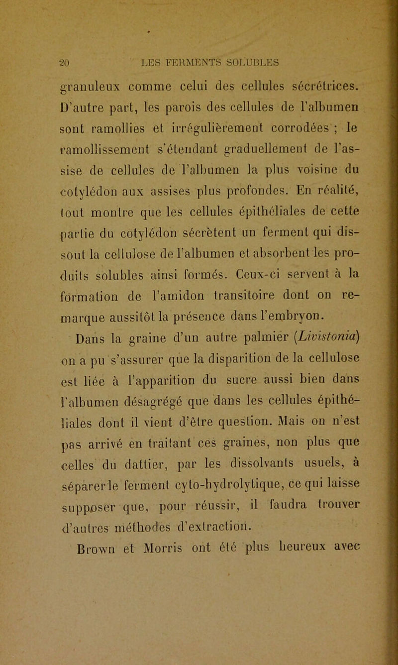 granuleux comme celui des cellules sécrétrices. D’autre part, les parois des cellules de l’albumen sont ramollies et irrégulièrement corrodées ; le ramollissement s’étendant graduellement de l’as- sise de cellules de l’albumen la plus voisine du cotylédon aux assises plus profondes. En réalité, tout montre que les cellules épithéliales de cette partie du cotylédon sécrètent un ferment qui dis- sout la cellulose de l’albumen et absorbent les pro- duits solubles ainsi formés. Ceux-ci servent à la formation de l’amidon transitoire dont on re- marque aussitôt la présence dans l’embryon. Dans la graine d’un autre palmier (.Livistonia) on a pu s’assurer que la disparition de la cellulose est liée à l’apparition du sucre aussi bien dans l’albumen désagrégé que dans les cellules épithé- liales dont il vient d’être question. Mais on n’est pas arrivé en traitant ces graines, non plus que celles du dattier, par les dissolvants usuels, à séparer le ferment cyto-hydrolytique, ce qui laisse supposer que, pour réussir, il faudra trouver d’autres méthodes d’extraction. Brown et Morris ont été plus heureux avec