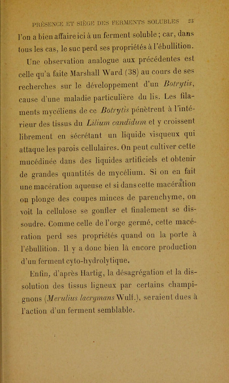 l’on a bien affaire ici à un ferment soluble ; car, dans tous les cas, le suc perd ses propriétés à l’ébullition. Une observation analogue aux précédentes est celle qu’a faite Marshall Ward (38) au cours de ses recherches sur le développement d un Botrytis, cause d’une maladie particulière du lis. Les fila- ments mycéliens de ce Botrytis pénètrent à 1 inté- rieur des tissus du Lilium canclidum et y croissent librement en sécrétant un liquide visqueux qui attaque les parois cellulaires. On peut cultivei cette mucédinée dans des liquides artificiels et obtenu de grandes quantités de mycélium. Si on en fait une macération aqueuse et si dans celte macéiation on plonge des coupes minces de parenchyme, on voit la cellulose se gonfler et finalement se dis- soudre. Comme celle de l’orge germé, cette macé- ration perd ses propriétés quand on la porte à l’ébullition. H y a donc bien là encore production d’un ferment cylo-hydroly tique. Enfin, d’après Hartig, la désagrégation et la dis- solution des tissus ligneux par certains champi- gnons (Merulius lacrymans Wulf.), seraient dues à l’action d’un ferment semblable.