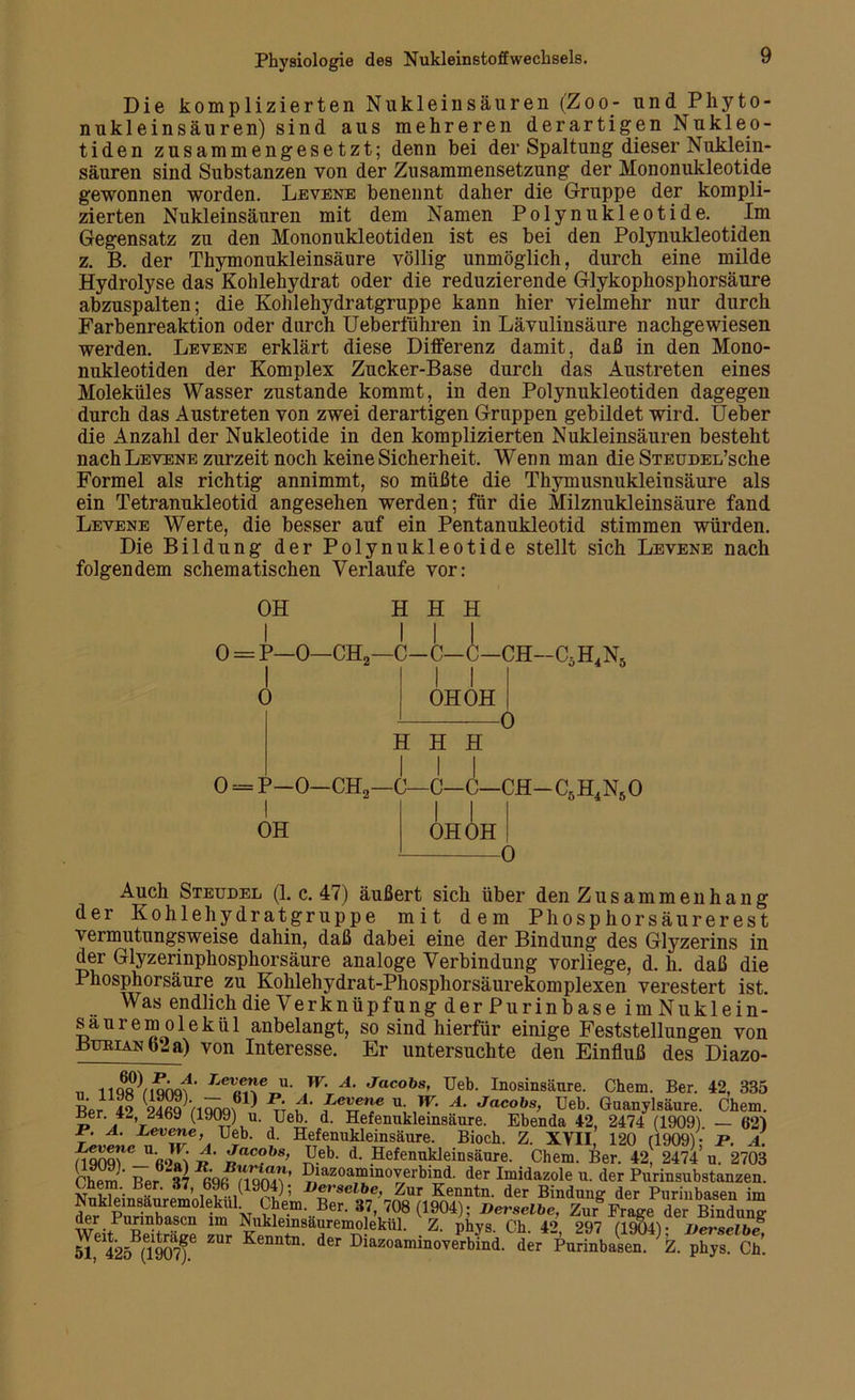 Die komplizierten Nukleinsäuren (Zoo- und Phyto - nukleinsäuren) sind aus mehreren derartigen Nukleo- tiden zusammengesetzt; denn bei der Spaltung dieser Nuklein- säuren sind Substanzen von der Zusammensetzung der Mononukleotide gewonnen worden. Levene benennt daher die Gruppe der kompli- zierten Nukleinsäuren mit dem Namen Polynukleotide. Im Gegensatz zu den Mononukleotiden ist es bei den Polynukleotiden z. B. der Thymonukleinsäure völlig unmöglich, durch eine milde Hydrolyse das Kohlehydrat oder die reduzierende Glykophosphorsäure abzuspalten; die Kohlehydratgruppe kann hier vielmehr nur durch Farhenreaktion oder durch Uebertuhren in Lävulinsäure nachgewiesen werden. Levene erklärt diese Differenz damit, daß in den Mono- nukleotiden der Komplex Zucker-Base durch das Austreten eines Moleküles Wasser zustande kommt, in den Polynukleotiden dagegen durch das Austreten von zwei derartigen Gruppen gebildet wird. Ueber die Anzahl der Nukleotide in den komplizierten Nukleinsäuren besteht nach Levene zurzeit noch keine Sicherheit. Wenn man die STEUDEL’sche Formel als richtig annimmt, so müßte die Thymusnukleinsäure als ein Tetranukleotid angesehen werden; für die Milznukleinsäure fand Levene Werte, die besser auf ein Pentanukleotid stimmen würden. Die Bildung der Polynukleotide stellt sich Levene nach folgendem schematischen Verlaufe vor: OH H H H I Ml o = P—0—CHa—C-C-C—CH—CäH4I N, 0 OH OH H H H -0 o = P—0—CH2—C—C—C—CH—C5H4N50 OH OH OH 0 Auch Steudel (1. c. 47) äußert sich über den Zusammenhang der Kohlehydratgruppe mit dem Phosphorsäurerest vermutungsweise dahin, daß dabei eine der Bindung des Glyzerins in der Glyzerinphosphorsäure analoge Verbindung vorliege, d. h. daß die Phosphorsäure zu Kohlehydrat-Phosphorsäurekomplexen verestert ist. Was endlich die Verknüpfung der Purinbase imNuklein- säuiemolekül anbelangt, so sind hierfür einige Feststellungen von Bubian o2 a) von Interesse. Er untersuchte den Einfluß des Diazo- n iiqc^mnqf' Tu' }V‘Am Jacobs’ Ueb. Inosinsäure. Chem. Ber. 42, 335 t>’ i‘> 94ficwiana\^ u- W. A. Jacobs, Ueb. Guanylsäure. Chem. Ber. 4- 2469 (1909) u. Ueb. d. Hefenukleinsäure. Ebenda 42, 2474 (1909). — 62) F. A. Levene, Ueb. d. Hefenukleinsäure. Bioch. Z. XYII, 120 (1909)- F. A. ßJai R ‘ %ac°b8> Ueb. d. Hefenukleinsäure. Chem. Ber. 42, 2474’ u. 2703 Chem' Ber 37 %R ^.laf a“m°vei'bind. der Imidazole u. der Purinsubstanzen. 11 ’• .. J i i -1 5 Met selbe, Zur Kenntn. der Bindung* der Purinbasen im Nukleinsäuremolekul Chem. Ber. 87, 708 (1904); Derselbe, le,r Purmbasen im Nuklemsäuremolekül. Z. phys. Ch. 42, 297 (1904) />e™^ ZUr KenntD- d6r Dia^a^^ovePrbind. der Purinbaien }Z.Tys Cb.