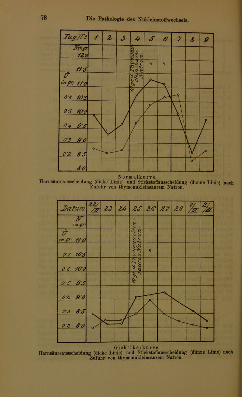 Harnsäureausscheidung (dicke Linie) und Stickstoffausscheidung (dünne Linie) nach Zufuhr von thymonukleinsaurem Natron. Gichtikerkurve. Harnsäureausscheidung (dicke Linie) und Stickstoffausscheidung (dünne Linie) nach Zufuhr von thymonukleinsaurem Natron.