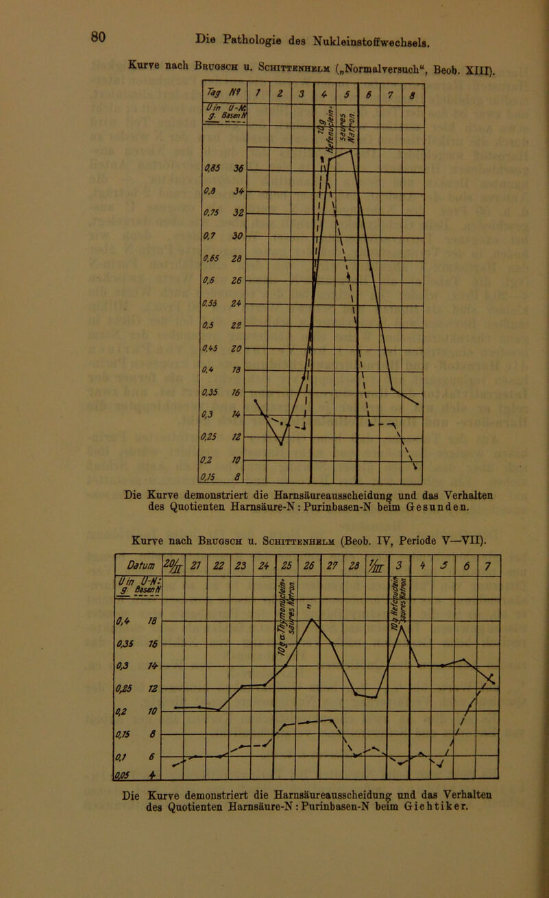 Kurve nach Brugsch u. Schittenhelm („Normalversuch“, Beob. XIII). Tag N9 U in Ü-K g. Bisen, 0,85 3t 0,8 34 0.75 31 0.7 30 0.65 28 0,6 26 0.55 26 0.5 22 0.65 20 0.6 78 0.35 76 0,3 16 0.25 12 0.2 70 0,15 8 Die Kurve demonstriert die Harnsäureausscheidung und das Verhalten des Quotienten Hamsäure-N:Purinbasen-N beim Gesunden. Kurve nach Bbugsch u. Schittenhelm (Beob. IV, Periode V—VII). 1 2 3 6 5 6 7 8 « V J v) cj ?? 'S < * f i\ 1 1 I h t fr 1 \ i i i \ Tf ‘ 1 1 \ \ \ l » \ t 1 1 \ Jl l \ l A, j 1 1 l l — tl J l-  \ V — \ N