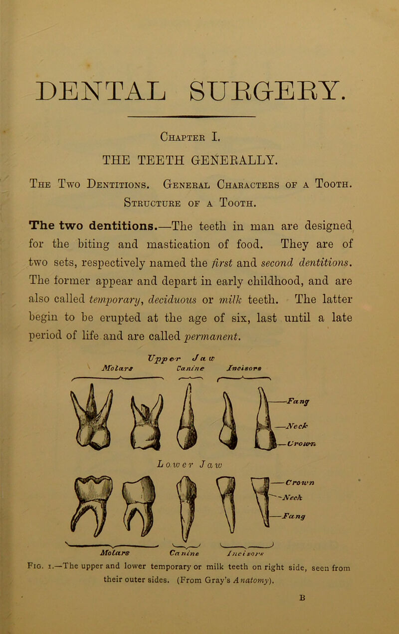 DENTAL SURGERY. Chapter I THE TEETH GENERALLY. The Two Dentitions. General Characters of a Tooth. Structure of a Tooth. The two dentitions.—The teeth in man are designed for the biting and mastication of food. They are of two sets, respectively named the first and second dentitions. The former appear and depart in early childhood, and are also called temporary, deciduous or milk teeth. The latter begin to be erupted at the age of six, last until a late period of life and are called permanent. Fig. i.—The upper and lower temporary or milk teeth on right side, seen from their outer sides. (From Gray’s Anatomy), I \ Fang feimift—Neck —V Town Lower Jaw \ B
