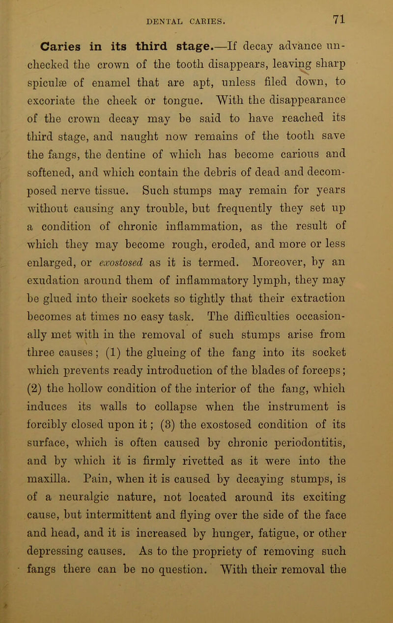 Caries in its third stage.—If decay advance un- checked the crown of the tooth disappears, leaving sharp spiculie of enamel that are apt, unless filed down, to excoriate the cheek or tongue. With the disappearance of the crown decay may be said to have reached its third stage, and naught now remains of the tooth save the fangs, the dentine of which has become carious and softened, and which contain the debris of dead and decom- posed nerve tissue. Such stumps may remain for years without causing any trouble, but frequently they set up a condition of chronic inflammation, as the result of which they may become rough, eroded, and more or less enlarged, or exostosed as it is termed. Moreover, by an exudation around them of inflammatory lymph, they may be glued into their sockets so tightly that their extraction becomes at times no easy task. The difficulties occasion- ally met with in the removal of such stumps arise from three causes; (1) the glueing of the fang into its socket which prevents ready introduction of the blades of forceps; (2) the hollow condition of the interior of the fang, which induces its walls to collapse when the instrument is forcibly closed upon it; (3) the exostosed condition of its surface, which is often caused by chronic periodontitis, and by which it is firmly rivetted as it were into the maxilla. Pain, when it is caused by decaying stumps, is of a neuralgic nature, not located around its exciting cause, but intermittent and flying over the side of the face and head, and it is increased by hunger, fatigue, or other depressing causes. As to the propriety of removing such fangs there can be no question. With their removal the