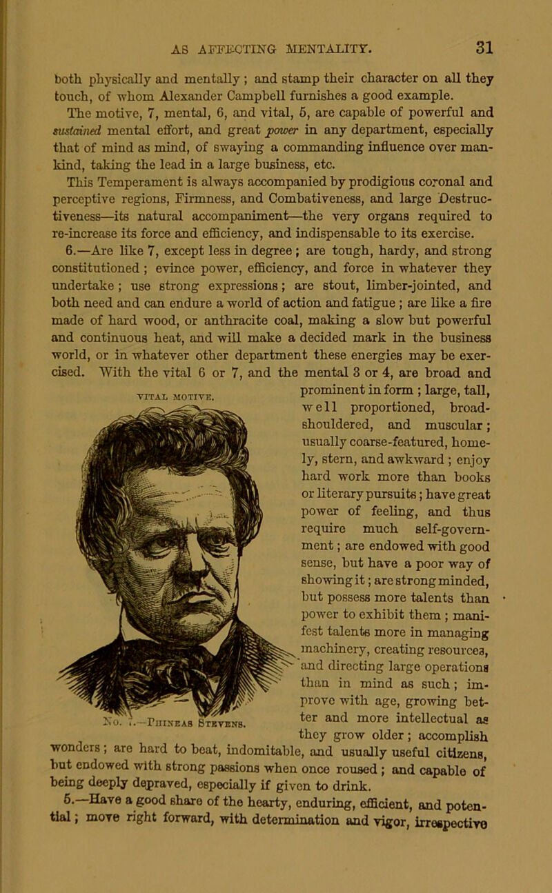both physically and mentally ; and stamp their character on all they tonch, of whom Alexander Campbell furnishes a good example. The motive, 7, mental, 6, and vital, 6, are capable of powerful and sustained mental effort, and great jxncer in any department, especially that of mind as mind, of swaying a commanding influence over man- kind, taking the lead in a large business, etc. This Temperament is always accompanied by prodigious coronal and perceptive regions. Firmness, and Comhativeness, and large Destruc- tiveness—its natural accompaniment—the very organs required to re-increase its force and efficiency, and indispensable to its exercise. 6.—Are like 7, except less in degree; are tough, hardy, and strong constitutioned; evince power, efficiency, and force in whatever they undertake; use strong expressions; are stout, limber-jointed, and both need and can endure a world of action and fatigue; are like a Are made of hard wood, or anthracite coal, making a slow hut powerful and continuous heat, and will make a decided mark in the business world, or in whatever other department these energies may he exer- cised. With the vital 6 or 7, and the mental 3 or 4, are broad and wonders; are hard to beat, indomitable, and usually useful citizens, but endowed with strong passions when once roused; and capable of being deeply depraved, especially if given to drink. 6. Have a good share of the hearty, enduring, efficient, and poten- tial ; move right forward, with determination and vigor, irreBpectivo Xo. 1.—PiiixEAS Stevens. VITAL MOTIVE. prominent in form ; large, tall, well proportioned, broad- shouldered, and muscular; usually coarse-featured, home- ly, stern, and awkward ; enjoy hard work more than books or literary pursuits; have great power of feeling, and thus require much self-govern- ment ; are endowed with good sense, but have a poor way of showing it; are strong minded, but possess more talents than power to exhibit them ; mani- fest talents more in managing machinery, creating resources, and directing large operations than in mind as such; im- prove with age, growing bet- ter and more intellectual as they grow older; accomplish