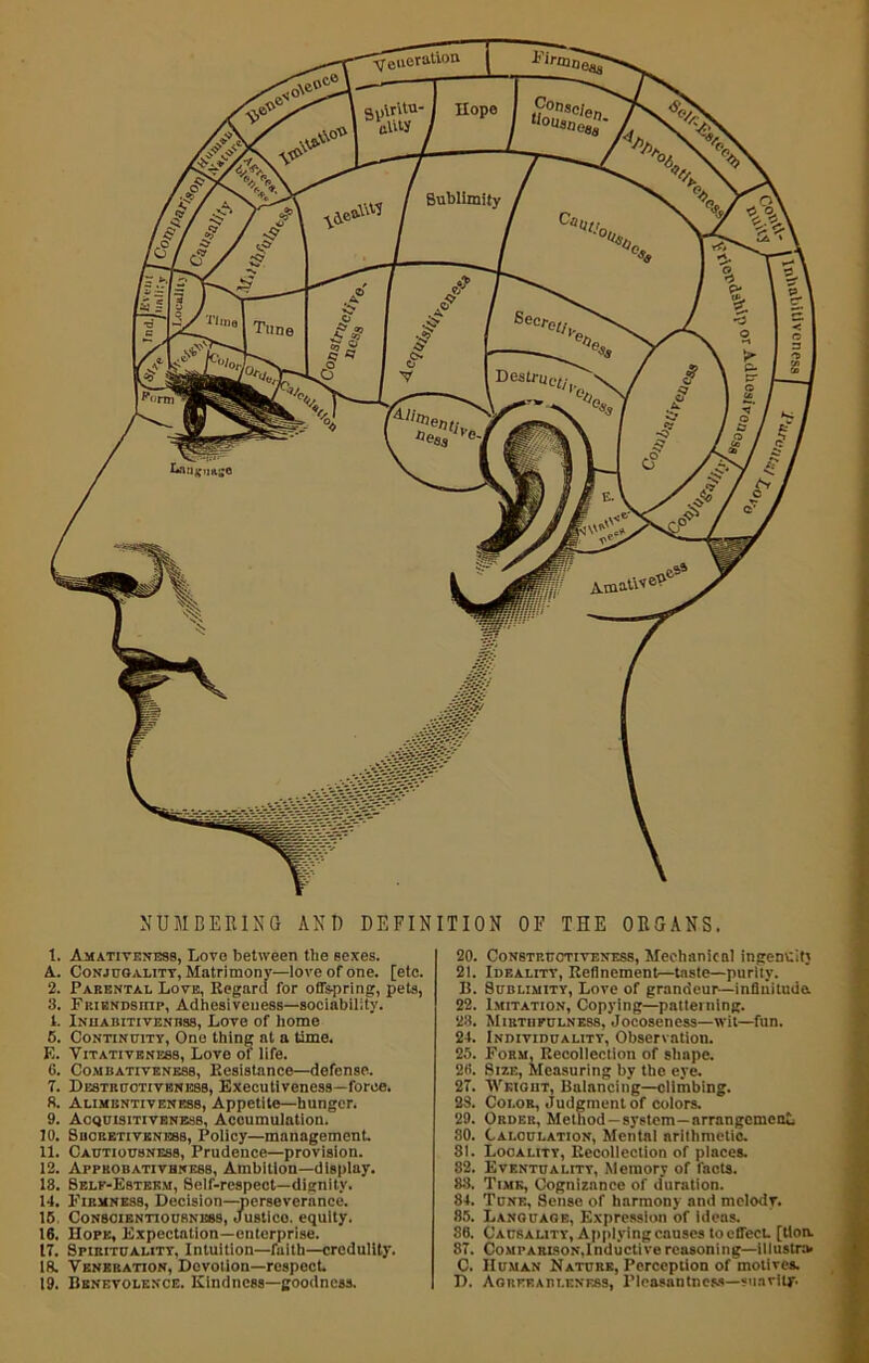 vyeucftt^hu Sublimity Destrjj NUMBERING AND DEFINITION OF THE ORGANS. t. Amativeness, Love between the sexes. A. Conjugality, Matrimony—love of one. [etc. 2. Parental Love, Regard for offspring, pets, 3. Friendship, Adhesiveness—sociability. 1. Inuabitivenuss, Love of home 5. Continuity, One thing at a time. F.. Vitativeness, Love of life. 6. Combativenesb, Resistance—defense. 7. Destruotiveness, Executiveness—force. 8. Alimiintiveness, Appetite—hunger. 9. Acquisitiveness, Accumulation. 10. Sucretiveness, Policy—management. 11. Cautiousness, Prudence—provision. 12. Approbativbness, Ambition—display. 13. Self-Esteem, Self-respect—dignity. 14. Firmness, Decision—perseverance. 15 Conscientiousness, Justlco. equity. 16. Hope, Expectation—enterprise. 17. Spirituality, Intuition—faith—credulity. 18. Veneration, Devotion—respect 19. Benevolence. Kindness—goodness. 20. Constructiveness, Mechanical ingemiit; 21. Ideality, Refinement—taste—purity. B. Sublimity, Love of grandeur—infinitude 22. Imitation, Copying—patterning. 23. Mirtiifulness, Jocoseness—wit—fun. 24. Individuality, Observation. 25. Form, Recollection of shape. 2«. Size, Measuring by the eye. 27. Weight, Balancing—climbing. 28. Color, Judgment of colors. 29. Order, Method-system—arrangement SO. Calculation, Mental arithmetic. 81. Locality, Recollection of places. 82. Eventuality, Memory of facts. 83. Time, Cognizance of duration. 84. Tune, Sense of harmony and melody. 85. Language, Expression of ideas. 86. Causality, Applying causes to effect [lion 87. Comparison,Inductive reasoning—illustra. C. Human Nature, Perception of motives. D. Agreeabi.f.ness, Pleasantness—suavity.