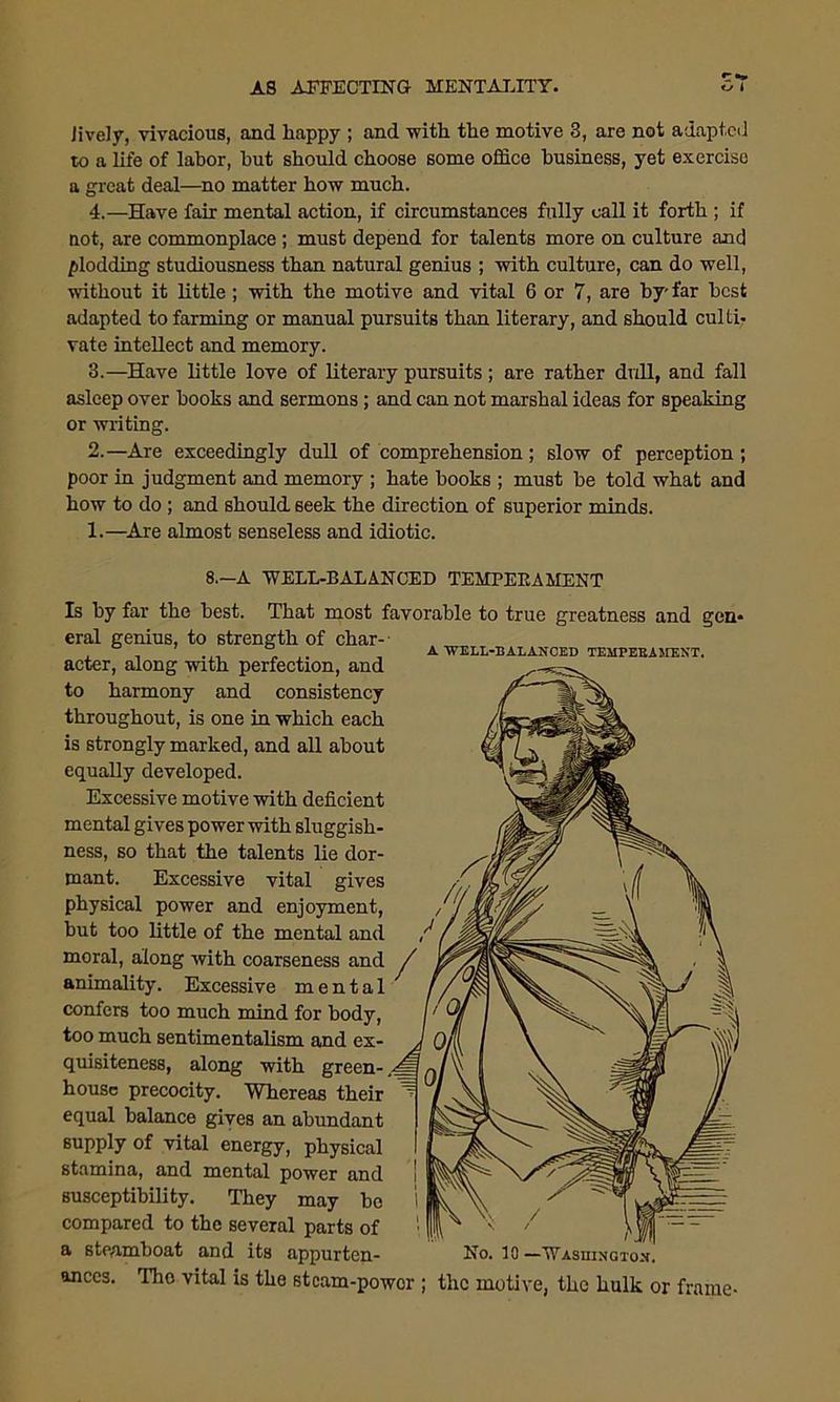 Jively, vivacious, and happy ; and -with the motive 3, are not adapted to a life of labor, hut should choose some office business, yet exercise a great deal—no matter how much. 4.—Have fair mental action, if circumstances fully call it forth ; if not, are commonplace ; must depend for talents more on culture and plodding studiousness than natural genius ; with culture, can do well, without it little; with the motive and vital 6 or 7, are by'far best adapted to farming or manual pursuits than literary, and should culti. vate intellect and memory. 3.—Have little love of literary pursuits ; are rather dull, and fall asleep over books and sermons; and can not marshal ideas for speaking or writing. 2.—Are exceedingly dull of comprehension; slow of perception; poor in judgment and memory ; hate books ; must be told what and how to do ; and should seek the direction of superior minds. 1.—Are almost senseless and idiotic. A WELL-BALANCED TEMPERAMENT. 8.—A ‘WELL-BALANCED TEMPERAMENT Is by far the best. That most favorable to true greatness and gen* eral genius, to strength of char- acter, along with perfection, and to harmony and consistency throughout, is one in which each is strongly marked, and all about equally developed. Excessive motive with deficient mental gives power with sluggish- ness, so that the talents lie dor- mant. Excessive vital gives physical power and enjoyment, but too little of the mental and moral, along with coarseness and / animality. Excessive mental confers too much mind for body, too much sentimentalism and ex- quisiteness, along with green-, house precocity. Whereas their equal balance gives an abundant supply of vital energy, physical stamina, and mental power and susceptibility. They may be compared to the several parts of a steamboat and its appurten- No. 10 —Washington. anccs. The vital is the stcam-powor ; the motive, the hulk or frame-