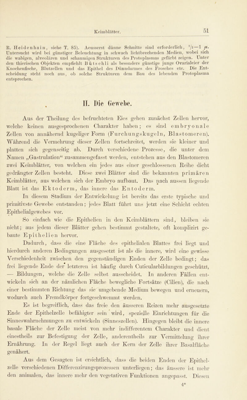 E. Heidenhain, siehe T. 85). Aeusserst dünne Schnitte sind erforderlich, '{2 — 1 Untersucht wird bei günstiger Belenclitnng in schwach lichtbrechenden Medien, wobei sich die wabigen, alveolären und schanmigen Strukturen des Protoplasmas gefärl)t zeigen. Unter den thierischen Objekten empfiehlt Bütschli als besonders günstige junge Ovarialeier der Knochenfische, Blntzellen und das Epithel des Dünndarmes des Frosclies etc. Die Ent- scheidung steht noch aus, ob solclic Strukturen dem Bau des lebenden Protoplasma entsprechen. . n. Die (lewebe. Aus der Theiluiig des befrucliteten Eies gelien zunächst Zellen hervor, tvelche keinen ausgesprochenen Cliarakter halten; es sind embryonale Zellen von annähernd kugeliger Form (Furchungskugeln, Blastomeren). Während die Vermehrung dieser Zellen fortsclireitet, werden sie kleiner und platten sich gegenseitig ab. Durch verschiedene Prozesse, die unter dem Namen „Gastrulation“ zusammengefasst werden, entstehen aus den Blastomeren zwei Keimblätter, von welchen ein jedes aus einer geschlossenen Reihe dicht gedrängter Zellen besteht. Diese zwei Blätter sind die bekannten primären Keimblätter, aus welchen sich der Einbrvo aufbaut. Das nach aussen lietrende Blatt ist das Ektoderm, das innere das En to denn. In diesem Stadium der Entwickelung ist bereits das erste typisclie und primitivste Gewebe entstanden; jedes Blatt führt uns jetzt eine Schiclit echten Epithelialgewebes vor. So einfach wie die Epithelien in den Keimblättern sind, bleiben sie nicht; aus jedem dieser Blätter gehen ])estimmt gestaltete, oft komplizirt ge- ])aute Epithelien hervor. Dadurch, dass die eine Fläche des epithelialen Blattes frei liegt und hierdurch anderen Bedingungen ausgesetzt ist als die innere, wird eine gewisse Verschiedenheit zwischen den gegenstänchgen Enden der Zelle bedingt; das frei liegende Ende der letzteren ist häufig durch Cuticularbildungen geschützt, — Bildungen, welche die Zelle selbst ausscheidet. In anderen Fällen ent- wickeln sich an der nämlichen Fläche bewegliche Fortsätze (Cilien), die nach einer bestimmten Richtung das sie umgebende Medium bewegen und erneuern, wodurch auch Fremdkörper fortgeschwemmt werden. Es ist begreiflich, dass das freie den äusseren Reizen mehr ausgesetzte Ende der Epithelzelle befäliigter sein wird, spezielle Einrichtungen für die Shmeswahrnehmungen zu entwickeln (Sinneszellen). Hingegen bleibt die innere basale Fläche der Zelle meist von mehr indifferentem Charakter und dient einestheils zur Befestigung der Zelle, anderentheils zur Vermittelung ihrer Ernährung. In der Regel liegt auch der Kern der Zelle ihrer Basalfläche genähert. Aus dem Gesagten ist ersichtlich, dass die beiden Enden der Epithel- zelle verschiedenen Differenzirungsprozessen unterliegen; das äussere ist mehr den animalen, das innere mehr den vegetativen Funktionen angepasst. Diesen