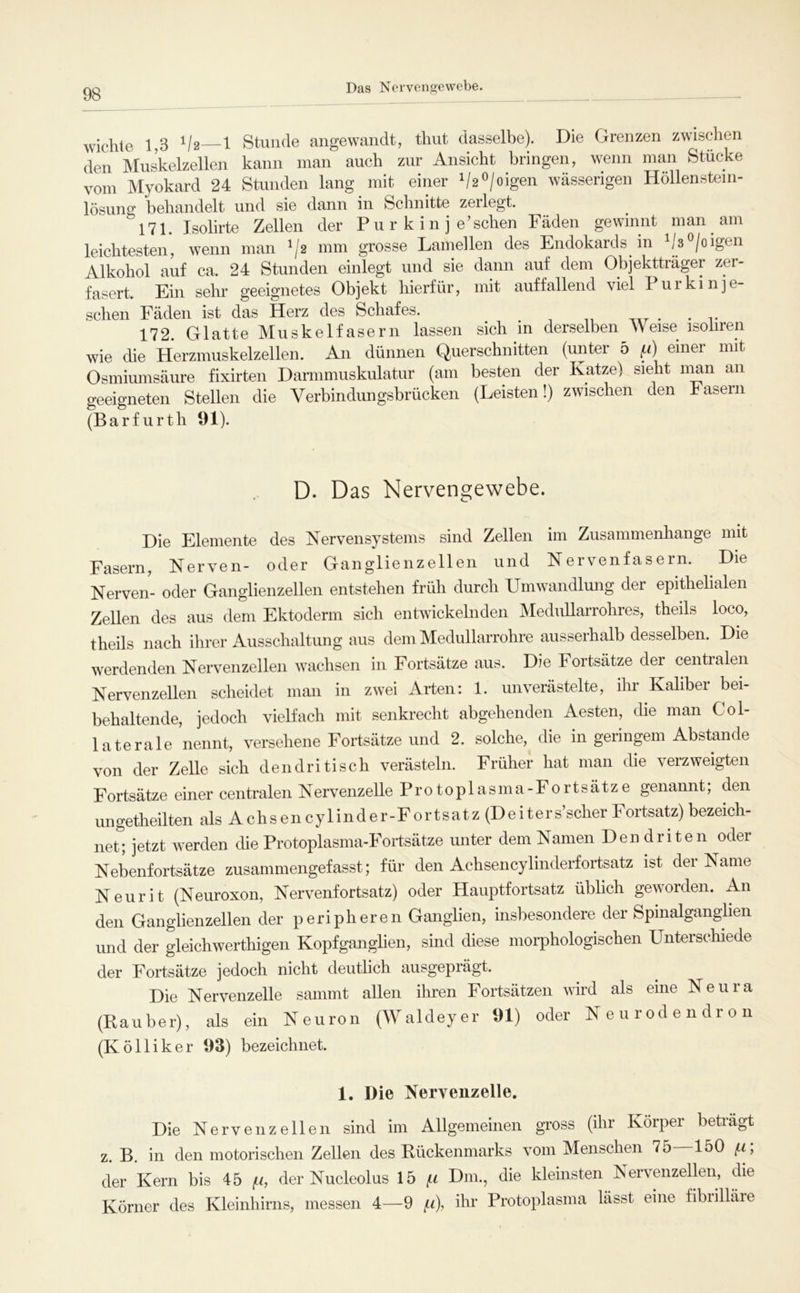 Das Nervengewebe. wiclite 1,3 V2—1 Stunde angewandt, tliut dasselbe). Die Grenzen zwischen den Muskelzellen kann man auch zur Ansicht bringen, wenn man Stücke vom Myokard 24 Stunden lang mit einer V2^/oigen wässerigen Höllenstem- lösung behandelt und sie dann in Schnitte zerlegt. 171. Isolirte Zellen der P u r k i n j e’sehen Fäden gewinnt man am leichtesten, wenn man ^j2 mm grosse Lamellen des Endokards in /3 /oigen Alkohol auf ca. 24 Stunden einlegt und sie dann auf dem Objektträger zer- fasert. Ein sehr geeignetes Objekt hierfür, mit auffallend viel Puikinje- schen Fäden ist das Herz des Schafes. 172. Glatte Muskelfasern lassen sich in derselben^Weise isoliren wie die Herzmuskelzellen. An dünnen Querschnitten (unter 5 (.i) einer mit Osmiumsäure fixirten Darmmuskulatur (am besten der Katze) sieht nmn an geeigneten Stellen die Verbindungsbrücken (Leisten!) zwischen den Fasern (Barfurth 91). D. Das Nervengewebe. Die Elemente des Nervensystems sind Zellen im Zusammenhänge mit Fasern, Nerven- oder Ganglienzellen und Nervenfasern. Die Nerven- oder Ganglienzellen entstehen früh durch Umwandlung der epithelialen Zellen des aus dem Ektoderm sich entwickelnden Mediillarrohres, theils loco, theils nach ihrer Ausschaltung aus dem Medullarrohre ausserhalb desselben. Die werdenden Nervenzellen wachsen in Fortsätze aus. Die Fortsätze der centralen Nervenzellen scheidet man in zwei Arten: 1. unverästelte, ihr Kaliber bei- behaltende, jedoch vielfach mit senkrecht abgehenden Aesten, die man Col- laterale nennt, versehene Fortsätze und 2. solche, die in geringem Abstande von der Zelle sich dendritisch verästeln. Früher hat man die verzweigten Fortsätze einer centralen Nervenzelle Protoplasma-Fortsätze genannt; den ungetheilten als Achsencylinder-Fortsatz (Deiters’scher Fortsatz) bezeich- iieL jetzt werden die Protoplasma-Fortsätze unter dem Namen Dendriten oder Nebenfortsätze zusammengefasst; für den Achsencylinderfortsatz ist der Name Neurit (Neuroxon, Nervenfortsatz) oder Hauptfortsatz üblich geworden. An den Ganglienzellen der peripheren Ganglien, insbesondere der Spinalganglien imd der gleichwerthigen Kopfganglien, sind diese morphologischen Unterschiede der Fortsätze jedoch nicht deutlich ausgeprägt. Die Nervenzelle sammt allen ihren Fortsätzen wird als eine Neura (Räuber), als ein Neuron (Waldeyer 91) oder Neurodendron (Kölliker 93) bezeichnet. 1. Die Nervenzelle. Die Nervenzellen sind im Allgemeinen gross (ihr Körper beträgt z. B. in den motorischen Zellen des Rückenmarks vom Menschen 75 150 f.i ; der Kern bis 45 f.i, der Nucleolus 15 Dm., die kleinsten Nervmizellen, die Körner des Kleinhirns, messen 4—9 /<), ihr Protoplasma lässt eine fibiilläre