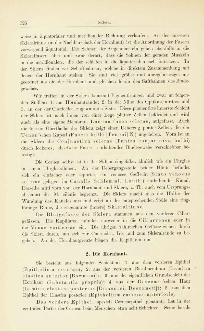 weise in äquatorialer und meridionaler Richtung verlaufen. An der äusseren Skleralrinne (in der Nachbarschaft der Hornhaut) ist die Anordnung der Fasern vorwiegend äquatorial. Die Sehnen der Augenmuskeln gehen ebenfalls in die Skleralfasern über und zwar derart, dass die Sehnen der geraden Muskeln in die meridionalen, die der schiefen in die äquatorialen sich fortsetzen. In der Sklera finden wir Schafthahnen, welche in direktem Zusammenhang mit denen der Hornhaut stehen. Sie sind viel gröber und unregelmässiger an- geordnet als die der Hornhaut und gleichen hierin den Saftbahnen des Binde- gewebes. Wir treffen in der Sklera konstant Pigmentirungen und zwar an folgen- den Stellen: 1. am Hornhautrande; 2. in der Nähe des Optikuseintrittes und 3. an der der Chorioidea zugewandten Seite. Diese pigmentirte innerste Schicht der Sklera ist nach innen von einer Lage platter Zellen bekleidet und wird auch als eine eigene Membran, Lamina fusca sclerae, aufgefasst. Auch (he äussere Oberfläche der Sklera zeigt einen Ueberzug platter Zellen, die der T e n 011 ’schen Kapsel (F a s c i a b u 1 b i [T e n o n i] N.) angehören. Vorn ist an die Sklera die Conjunctiva sclerae (Tunica conjunctiva bulbi) durch lockeres, elastische Fasern enthaltendes Bindegewebe verschiebbar be- festigt. Die Cornea selbst ist in die Sklera eingefalzt, ähnlich wie ein Uhrglas in einen Uhrglasrahmen. An der Uebergangsstelle beider Häute befindet sich ein einfacher oder septirter, ein venöses Geflecht (Sinus venosus sclerae gelegen im C a n a 1 i s S c h 1 e ni m i, L a u t h i) enthaltender Kanal. Derselbe wird vorn von der Hornhaut und Sklera, z. Th. auch vom Ursprungs- abschnitt des M. ciliaris begrenzt. Die Sklera macht also die Hälfte der Wandung des Kanales aus und zeigt an der entsprechenden Stelle eine ring- förmige Rinne, die sogenannte (innere) Skleralrinne. Die Blutgefässe der Sklera stammen aus den vorderen Ciliar- gefässen. Die Kapillaren münden entweder in die C i 1 i a r v e n e n oder in die Venae vorticosae ein. Die übrigen zahlreichen Gefässe ziehen durch die Sklera durch, um sich zur Chorioidea, Iris und zum Skleralrande zu be- geben. An der Hornhautgrenze biegen die Kapillaren um. 2. Die Hornhaut. Sie besteht aus folgenden Schichten: 1. ans dem vorderen Epithel (E p i th e 1 i u m c o r n e a e); 2. aus der vorderen Basalmembran (L a m i n a e 1 a s t i c a anterior [B o w m a ni]); 3. aus der eigentlichen Grundschicht der Hornhaut (Substantia propria); 4. aus der Descemet’sehen Haut (Lamina elastica posterior [Demoursi, Descemeti]); 5. aus dem Epithel der Elastica posterior (Epithelium camerae anterioris). Das vordere Epithel, speziell Corneaepithel genannt, hat in der centralen Partie der Cornea beim Menschen etwa acht Schichten. Seine basale