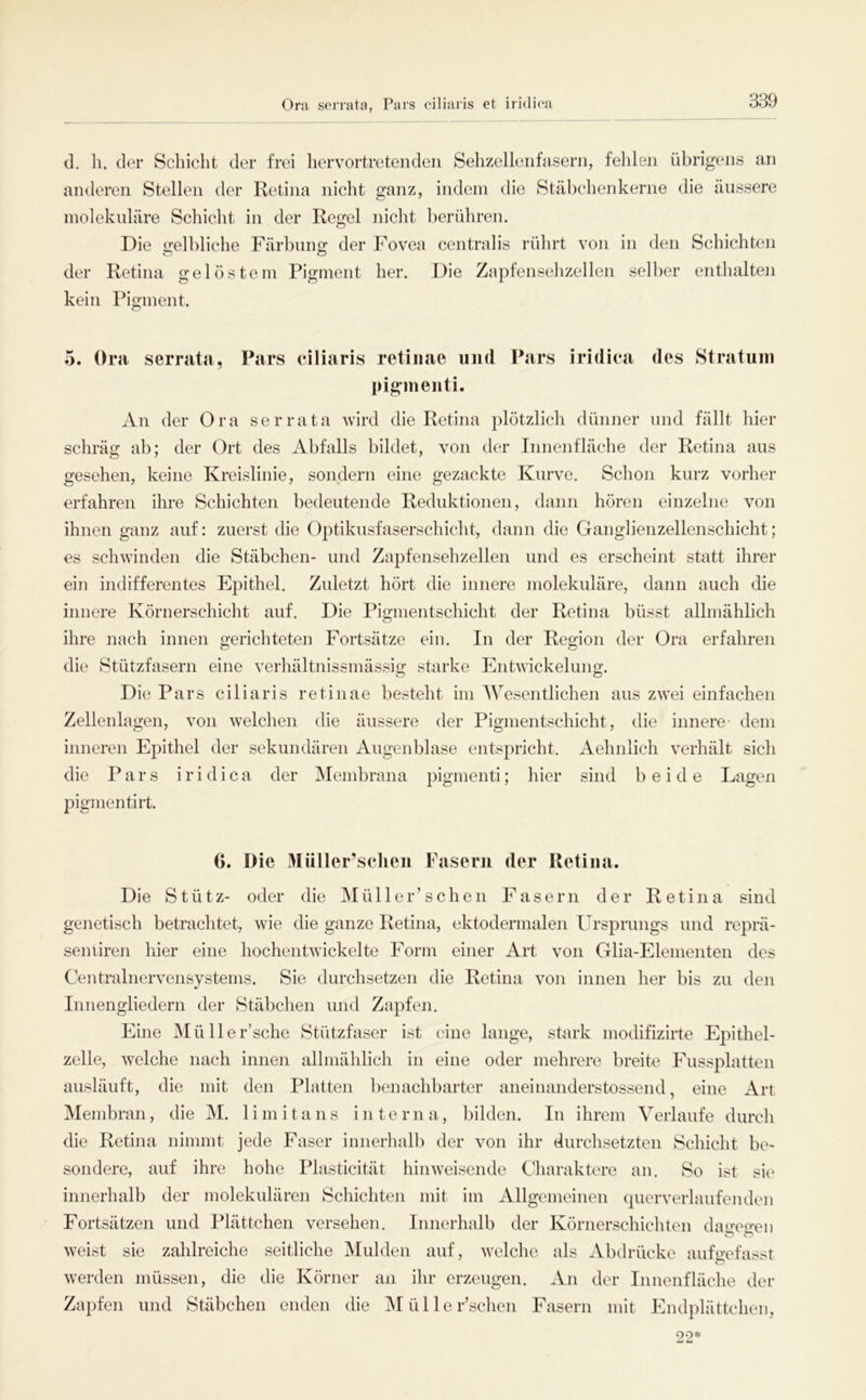 Ora scrrata, Pars eiliaris et iridiea d, li. der Schicht der frei liervortretendeii Sehzellcnhisern, felileii übrigens an anderen Stellen der Retina nicht ganz, indem die Stäbchen kerne die äussere inoleknläre Schicht in der Regel nicht berühren. Die o'elbliche Färbiino; der Fovea centralis rührt von in den Schichten o o der Retina gelöstem Pigment her. Die Zapfensehzellen selber enthalten kein Pigment. 5. Ora serrata, Pars eiliaris retinae und Pars iridiea des Stratum idginenti. An der Ora serrata wird die Retina plötzlich dünner und fällt hier schräg ab; der Ort des Abfalls bildet, von der Innenfläche der Retina aus gesehen, keine Kreislinie, sondern eine gezackte Kurve. Schon kurz vorher erfahren ihre Schichten bedeutende Reduktionen, dann hören einzelne von ihnen ganz auf: zuerst die Optikusfaserschicht, dann die Ganglienzellenschicht; es schwinden die Stäbchen- und Zapfensehzellen und es erscheint statt ihrer ein i]idifferentes Epithel. Zuletzt hört die innere molekuläre, dann auch die innere Körnerschicht auf. Die Pigmentschicht der Retina büsst allmählich ihre nach innen gerichteten Fortsätze ein. In der Region der Ora erfahren die Stützfasern eine verhältnissmässig starke Entwickelung. Die Pars eiliaris retinae besteht im AVesentlichen aus zwei einfachen Zellenlagen, von welchen die äussere der Pigmentschicht, die innere- dem inneren Epithel der sekundären Angenblase entspricht. Aehnlich verhält sich die Pars iridiea der Membrana pigmenti; hier sind beide Lagen pigmentirt. (). Die Alüller’sclicn Fasern der Retina. Die Stütz- oder die Müller’schen Fasern der Retina sind genetisch betrachtet, wie die ganze Retina, ektodermalen Ursprungs und reprä- semiren hier eine hochentwickelte Form einer Art von Glia-Elementen des Centralnervensystems. Sie durchsetzen die Retina von innen her bis zu den Innengliedern der Stäbchen und Zapfen. Eine Müller’sche Stützfaser ist eine lange, stark modifizirte Epithel- zelle, welche nach innen allmählich in eine oder mehrere breite Fussplatten ausläuft, die mit den Platten l)enachbarter aneinanderstossend, eine Art Membran, die M. 1 i m i t a n s interna, bilden. In ihrem Verlaufe durch die Retina nimmt jede Faser innerhalb der von ihr durchsetzten Schicht be- sondere, auf ihre hohe Plasticität hinweisende Charaktere an. So ist sii' innerhalb der molekulären Schichten mit im Allgemeinen qiierverlanfenden ' Fortsätzen und Plättchen versehen. Innerhalb der Körnerschichten da^mo-en weist sie zahlreiche seitliche Mulden auf, welche als Abdrücke aufo-efasst werden müssen, die die Körner an ihr erzeugen. An der Innenfläche der Zapfen und Stäbchen enden die Müller’schen Fasern mit Endplättchen, 22*