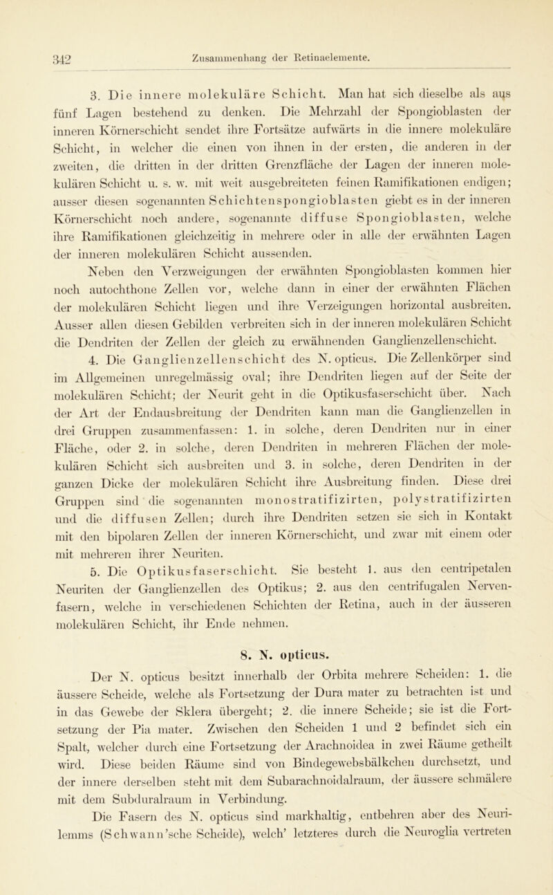 3. Die innere molekulare Scliiclit, Man hat sich dieselbe als aus fünf Lagen bestehend zu denken. Die Mehrzahl der Spongioblasten der inneren Körnerschicht sendet ihre Fortsätze aufwärts in die innere molekuläre Schicht, in welcher die einen von ihnen in der ersten, die anderen in der zweiten, die dritten in der dritten Grenzfläche der Lagen der inneren inole- kulären Schicht u. s. w. mit weit ausgebreiteten feinen Ramifikationen endigen; ausser diesen sogenannten Schichten spongioblasten giebt es in der inneren Körnerschicht noch andere, sogenannte diffuse Spongioblasten, welche ihre Ramifikationen gleichzeitig in mehrere oder in alle der erwähnten Lagen der inneren molekulären Schicht aussenden. Neben den Verzweigungen der erwähnten Spongioblasten kommen hier noch autochthone Zellen vor, welche dann in einer der erwähnten hlächen der molekulären Schicht liegen und ihre Verzeigungen horizontal ausbreiten. Ausser allen diesen Gebilden verbreiten sich in der inneren molekulären Schicht die Dendriten der Zellen der gleich zu erwähnenden Ganglienzellenschicht. 4. Die Ganglien zellen Schicht des N. opticus. Die Zellenkörper sind im Allgemeinen unregelmässig oval; ihre Dendnten liegen auf der Seite der molekulären Schicht; der Neurit geht in die Optikusfaserschicht über. Nach der Art der Endausbreitung der Dendriten kann man die Ganglienzellen in drei Gruppen zusammenfassen: 1. in solche, deren Dendriten nur in einer Fläche, oder 2. in solche, deren Dendriten in mehreren Flächen der mole- kulären Schicht sicli ausbreiten und 3. in solche, deren Dendriten in der ganzen Dicke der molekulären Schicht ihre Ausbreitung finden. Diese drei Gruppen sind die sogenannten monostratifizirten, polystratifizirten und die diffusen Zellen; durch ihre Dendriten setzen sie sich in Kontakt mit den bipolaren Zellen der inneren Körnerschicht, und zwar mit einem oder mit mehreren ihrer Neuriten. 5. Die Optikusfaserschicht. Sie besteht 1. aus den centripetalen Neuriten der Ganglienzellen des Optikus; 2. aus den centrifugalen Nerven- fasern, welche in verschiedenen Schichten der Retina, auch in der äusseren molekulären Schicht, ihr Ende nehmen. 8. N. opticus. Der N. opticus besitzt innerhalb der Orbita mehrere Scheiden: 1. die äussere Scheide, welche als Fortsetzung der Dura mater zu betrachten ist und in das Gewebe der Sklera übergeht; 2. die innere Scheide; sie ist die Fort- setzung der Pia mater. Zwischen den Scheiden 1 und 2 befindet sich ein Spalt, welcher durch eine Fortsetzung der Arachnoidea in zwei Räume getheilt wird. Diese beiden Räume sind von Bindegewebsbälkchen durchsetzt, und der innere derselben steht mit dem Subarachnoidalraum, der äussere schmälere mit dem Subduralraum in Verbindung. Die Fasern des N. opticus sind markhaltig, entbehren aber des Neuri- lemms (Schwann’sche Scheide), welch’ letzteres durch die Neuroglia vertreten
