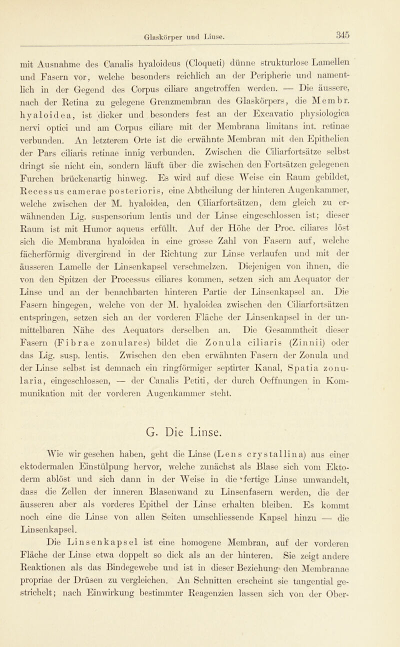 Glaskörper und Linse. mit Ausnahme des Canalis hyaloideus (Cloqueti) dünne strukturlose Lamellen und Fasern vor, welche besonders reichlich an der Peripherie und nament- lich in der Gegend des Coipus ciliare angetroffen werden. — Die äussere, nach der Retina zu gelegene Grenzmembran des Glaskörpers, die jMembr. hyaloidea, ist dicker und besonders fest an der Excavatio ])hysiologica nervi optici und am Corpus ciliare mit der Membrana limitans int. retinae verbunden. An letzterem Orte ist die erwähnte Membmn mit den Epithelien der Pars ciliaris retinae innig verbunden. Zwischen die Ciliarfortsätze selbst dringt sie nicht ein, sondern läuft über die zwischen den Fortsätzen gelegenen Furchen brückenartig hinweg. Es wird auf diese Weise ein Raum gebildet, RecessUS camerae posterioris, eine Abtheilung der hinteren Augenkammer, welche zwischen der M. hyaloidea, den Cäliarfortsätzen, dem gleich zu er- wähnenden Lig. Suspensorium lentis und der Linse eingeschlossen ist; dieser Raum ist mit Humor aqueus erfüllt. Auf der Höhe der Proc. ciliares löst sich die Membrana hyaloidea in eine grosse Zahl von Fasern auf, welche fächerförmig divergirend in der Richtung zur Linse verlaufen und mit der äusseren Lamelle der Linsenkapsel verschmelzen. Diejenigen von ihnen, die von den Spitzen der Processus ciliares kommen, setzen sich am Acquator der Linse und an der benachbarten hinteren Partie der Linsenkapsel an. Die Fasern hingegen, welche von der ^I. hyaloidea zwischen den Ciliarfortsätzen entspringen, setzen sich an der vorderen Fläche der Linsenkapsel in der un- mittelbaren Nähe des Aequators derselben an. Die Gesammtheit dieser Fasern (Fibrae zonulares) bildet die Zonula ciliaris (Zinnii) oder das Lig. susp. lentis. Zwischen den eben erwähnten Fasern der Zonula und der Linse selbst ist demnach ein ringförmiger septirter Kanal, Spatia zonu- laria, eingeschlossen, — der Canalis Petiti, der durch Oeffnungen in Kom- munikation mit der vorderen Augenkammer steht. G. Die Linse. AVie wir gesehen haben, geht die Linse (Lens crystallina) aus einer ektodermalen Einstülpung hervor, welche zunächst als Blase sich vom Ekto- derm ablöst und sich dann in der AVeise in die fertige Linse umwandelt, dass die Zellen der inneren Blasenwand zu Linsenfasern werden, die der äusseren aber als vorderes Epithel der Linse erhalten bleiben. Es kommt noch eine die Linse von allen Seiten umschliessende Kapsel hinzu — die Linsenkapsel. Die Linsenkapsel ist eine homogene Membran, auf der vorderen Fläche der Linse etwa doppelt so dick als an der hinteren. Sie zeigt andere Reaktionen als das Bindegewebe und ist in dieser Beziehung den iMembranae propriae der Drüsen zu vergleichen. An Schnitten erscheint sie tangential o-e- strichelt; nach Einwirkung bestimmter Reagenzien lassen sich von der Ober-