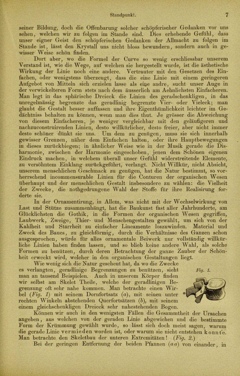 seiner Bildung, doch die Offenbarung solcher schöpferischer Gedanken vor uns sehen, welchen wir zu folgen im Stande sind. Dies erhebende Gefühl, dass unser eigner Geist den schöpferischen Gedanken der Allmacht zu folgen im Stande ist, lässt den Krystall uns nicht bloss bewundern, sondern auch in ge- wisser Weise schön finden. Dort aber, wo die Formel der Curve so wenig erschliessbar unserem Verstand ist, wie die Wege, auf welchen sie hergestellt wurde, ist die ästhetische Wirkung der Linie noch eine andere. Vertrauter mit den Gesetzen des Ein- fachen, oder wenigstens überzeugt, dass die eine Linie mit einem geringeren Aufgebot von Mitteln sich erzielen lasse als eine andre, sucht unser Auge in der verwickelteren Form stets nach dem äusserlich am Aehnlichsten Einfacheren. Man legt in das sphärische Dreieck die Linien des geradschenkligen, in das unregelmässig begrenzte das geradlinig begrenzte Vier- oder Vieleck; man glaubt die Gestalt besser auffassen und ihre Eigenthümlichkeit leichter im Ge- dächtnis behalten zu können, wenn man dies thut. Je grösser die Abweichung von diesem Einfacheren, je weniger vergleichbar mit den geläufigeren und nachzuconstruirenden Linien, desto willkürlicher, desto freier, aber nicht immer desto schöner dünkt sie uns. Um dem zu genügen, muss sie sich innerhalb gewisser Grenzen, näher dem Einfachen halten, oder ihre Hauptbewegungen in dieses zurückbiegen; in ähnlicher Weise wie in der Musik gerade die Dis- harmonie, zwischen der Harmonie eingeschoben, jenen dem Schönen eigenen Eindruck machen, in welchem überall unser Gefühl widerstreitende Elemente, zu versöhntem Einklang zurückgeführt, verlangt. Nicht Willkür, nicht Absicht, unserem menschlichen Geschmack zu genügen, hat die Natur bestimmt, so vor- herrschend incommensurable Linien für die Conturen der organischen Wesen überhaupt und der menschlichen Gestalt insbesondere zu wählen: die Vielheit der Zwecke, die nothgedrungene Wahl der Stoffe für ihre Realisirung for- derte sie. In der Ornamentirung, in Allem, was nicht mit der Wechselwirkung von Last und Stütze zusammenhängt, hat die Baukunst fast aller Jahrhunderte, am Glücklichsten die Gothik, in die Formen der organischen Wesen gegriffen, Laubwerk, Zweige, Thier- und Menschengestalten gewählt, um sich von der Kahlheit und Starrheit zu einfacher Lineamente loszuwinden. Material und Zweck des Baues, zu gleichförmig, durch die Verhältnisse des Ganzen schon ausgesprochen, würde für alles ornamentale Beiwerk nur vollständig willkür- liche Linien haben finden lassen, und so blieb keine andere Wahl, als solche Formen zu benützen, durch deren Betrachtung der ganze Zauber der Schön- heit erweckt wird, welcher in den organischen Gestaltungen liegt. Wie wenig sich die Natur gescheut hat, da wo die Zwecke es verlangten, geradlinige Begrenzungen zu benützen, sieht Fig. 1. man an tausend Beispielen. Auch in unserem Körper finden wir selbst am Skelet Theile, welche der geradlinigen Be- grenzung oft sehr nahe kommen. Man betrachte einen Wir- bel (Fig. 1) mit seinem Dornfortsatz {a), mit seinen unter rechten Winkeln abstehenden Querfortsätzen (b), mit seinem einem gleichschenkligen Dreieck sehr nahestehenden Bogen. Können wir auch in den wenigsten Fällen die Gesammtheit der Ursachen angeben, aus welchen von der geraden Linie abgewichen und die bestimmte Form der Krümmung gewählt wurde, so lässt sich doch meist sagen, warum die gerade Linie vermieden worden ist, oder warum sie nicht entstehen konnte Man betrachte den Skeletbau der unteren Extremitäten ! {Fig. 2.) Bei der geringen Entfernung der beiden Pfannen {ad) von einander, in
