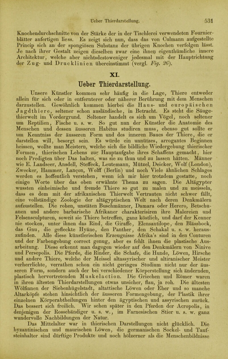 Knochendurchschnitte von der Stärke der in der Tischlerei verwendeten Fournier- blätter anfertigen liess. Es zeigt sich nun; dass das von Culmann aufgestellte Princip sich an der spongiösen Substanz der übrigen Knochen verfolgen lässt. Je nach ihrer Gestalt zeigen dieselben zwar eine ihnen eigenthümliche innere Architektur, welche aber nichtsdestoweniger jedesmal mit der Hauptrichtung der Zug- und Drucklinien übereinstimmt (vergl. Fig. 26). XI. Ueber Thierdarstellung. Unsere Künstler kommen sehr häufig in die Lage, Thiere entweder allein für sich oder in entfernterer oder näherer Berührung mit dem Menschen darzustellen. Gewöhnlich kommen hierbei die Haus- und europäischen Jagdthiere, seltener schon ausländische, in Betracht. Es steht die Säuge- thierwelt im Vordergrund. Seltener handelt es sich um Vögel, noch seltener um Reptilien, Fische u. s. w. So gut nun der Künstler die Anatomie des Menschen und dessen äusseren Habitus studiren muss, ebenso gut sollte er um Kenntniss der äusseren Form und des inneren Baues der Thiere, die er darstellen will, besorgt sein. Es würde ein unnützes, arrogantes Beginnen heissen, wollte man Meistern, welche sich die bildliche Wiedergebung thierischer Formen, thierischen Lebens zur Hauptaufgabe ihres Schaffens gemacht, hier noch Predigten über Das halten, was sie zu thun und zu lassen hätten. Männer wie E. Landseer, Ansdell, Steffeck, Leutemann, Mützel, Deicker, Wolf (London), Zwecker, Hammer, Lan^on, Wolff (Berlin) und noch Viele ähnlichen Schlages werden es hoffentlich verstehen, wenn ich mir hier trotzdem gestatte, noch einige Worte über das oben erwähnte Thema zu sagen. Die Altägypter wussten einheimische und fremde Thiere so gut zu malen und zu meissein, dass es dem mit der afrikanischen Thierwelt Vertrauten nicht schwer fallt, eine vollständige Zoologie der altägyptischen Welt nach deren Denkmälern aufzustellen. Die rohen, unstäten Buschmänner, Damara oder Herero, Betschu- anen und andere barbarische Afrikaner charakterisiren ihre Malereien und Felsensculpturen, soweit sie Thiere betreffen, ganz köstlich, und darf der Kenner nie stocken, unter ihnen das Rind, die Giraffe, Elensantilope, den Blässbock, das Gnu, die gefleckte Hyäne, den Panther, den Schakal u. s. w. heraus- zufinden. Alle diese künstlerischen Erzeugnisse Afrika’s sind in den Conturen und der Farbengebung correct genug, aber es fehlt ihnen die plastische Aus- arbeitung. Diese erkennt man dagegen wieder auf den Denkmälern von Ninive und Persepolis. Die Pferde, die Rinder, die Schafe, die Hunde, Löwen, Hirsche und andere Thiere, welche der Meissei altassyrischer und altiranischer Meister verherrlichte, verrathen schon ein nicht geringes Studium nicht nur der äus- seren Form, sondern auch der bei verschiedener Körperstellung sich ändernden, plastisch hervortretenden Muskelaction. Die Griechen und Römer waren in ihren ältesten Thierdarstellungen etwas unsicher, flau, ja roh. Die ältesten Wölfinnen der Siebenhügelstadt, altattische Löwen oder Eber und so manche Altar köpfe stehen hinsichtlich der äusseren Formengebung, der Plastik ihrer einzelnen Körperabtheilungen hinter den ägyptischen und assyrischen zurück. Das bessert sich freilich. Wir sehen später in den Pferden der Acropolis, in denjenigen der Rossebändiger u. s. w., im Farnesischen Stier u. s. w. ganz wundervolle Nachbildungen der Natur. Das Mittelalter war in thierischen Darstellungen nicht glücklich. Die byzantinischen und maurischen Löwen, die germanischen Sockel- und Tauf- steinhalter sind dürftige Produkte und noch hölzerner als die Menschenbildnisse