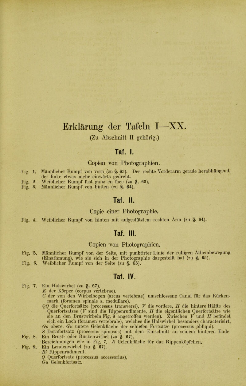 Erklärung der Tafeln I—XX. (Zu Abschnitt II gehörig.) Tat. i. Copien von Photographien. Fig. 1. Männlicher Rumpf von vorn (zu §. 63). Der rechte Vorderarm gerade herabhängend, der linke etwas mehr einwärts gedreht. Fig. 2. Weiblicher Rumpf fast ganz en face (zu §. 63). Fig. 3. Männlicher Rumpf von hinten (zu §. 64), Taf. II. Gopie einer Photographie. Fig. 4. Weiblicher Rifmpf von hinten mit aufgestütztem rechten Arm (zu §. 64). Taf. III. Copien von Photographien. Fig. 5. Männlicher Rumpf von der Seite, mit punktirter Linie der ruhigen Athembewegung (Einatlimung), wie sie sich in der Photographie dargestellt hat (zu §. 65). Fig. 6. Weiblicher Rumpf von der Seite (zu §. 65). Taf. IV. Fig. 7. Ein Halswirbel (zu §. 67). K der Körper (corpus vertebrae). C der von den Wirbelbogen (arcus vertebrae) umschlossene Canal für das Rücken- mark (foramen spinale s. medulläre). QQ die Querfortsätze (processus transversi), V die vordere, H die hintere Hälfte des Querfortsatzes (V sind die Rippenrudimente, H die eigentlichen Querfortsätze wie sie an den Brustwirbeln Fig. 8 angetroffen werden). Zwischen V und II befindet sich ein Loch (foramen vertebrale), welches die Halswirbel besonders characterisirt, Go obere, Gu untere Gelenkfläche der schiefen Fortsätze (processus „obliqui). S Dornfortsatz (processus spinosus) mit dem Einschnitt an seinem hinteren Ende Fig. 8. Ein Brust- oder Rückenwirbel (zu §. 67). Bezeichnungen wie in Fig. 7. R Gelenkfläche für das Rippenköpfchen, Fig. 9. Ein Lendenwirbel (zu §. 67). Ri Rippenrudiment, Q Querfortsatz (processus accessorius), Gu Gelenkfortsatz,
