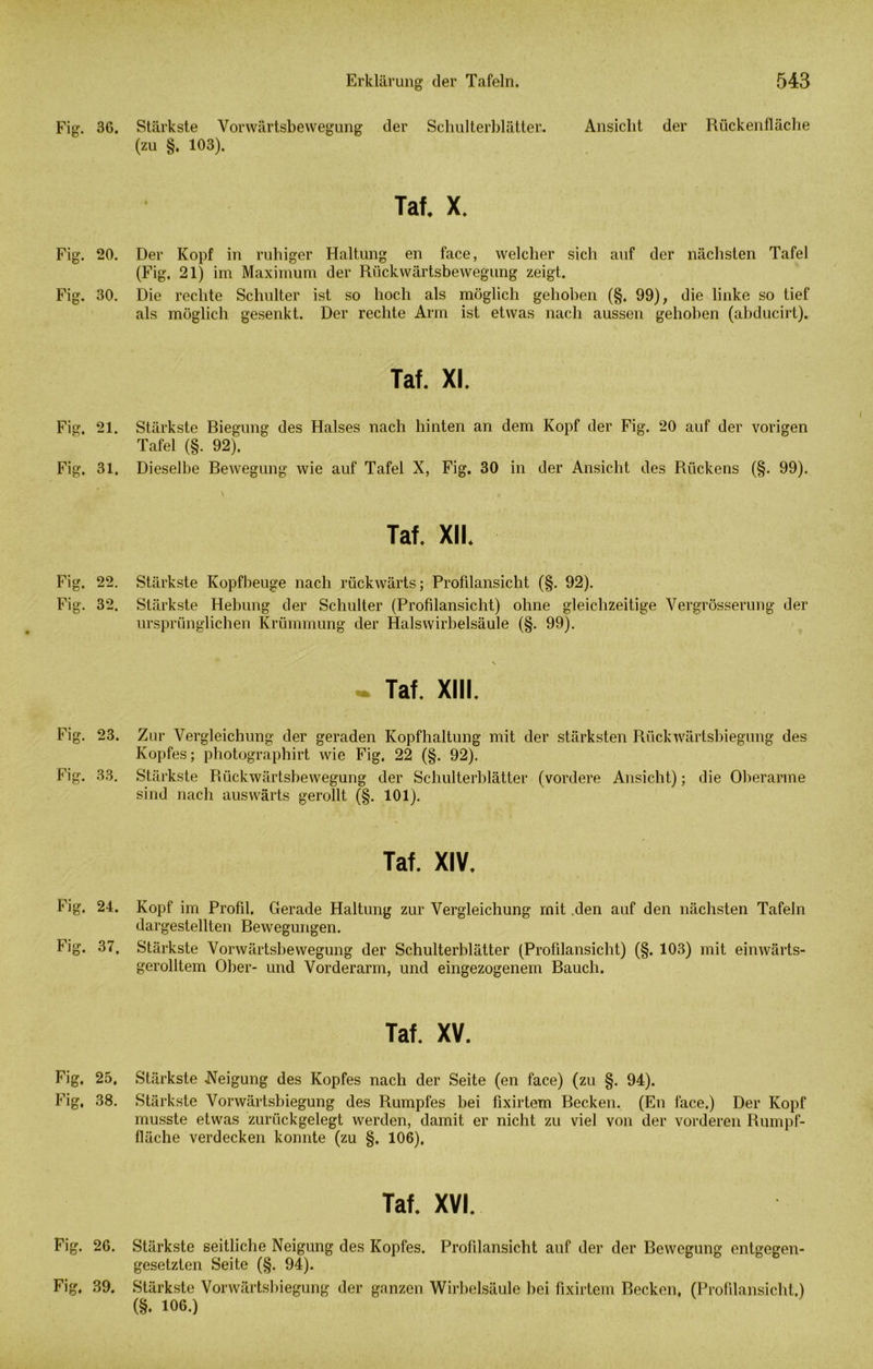Fig. 36. Stärkste Vorwärtsbewegung der Schulterblätter. Ansicht der Rückenfläche (zu §. 103). Tat. X. Fig. 20. Der Kopf in ruhiger Haltung en face, welcher sich auf der nächsten Tafel (Fig. 21) im Maximum der Rückwärtsbewegung zeigt. Fig. 30. Die rechte Schulter ist so hoch als möglich gehoben (§. 99), die linke so tief als möglich gesenkt. Der rechte Arm ist etwas nach aussen gehoben (abducirt). Tat. XI. Fig. 21. Stärkste Biegung des Halses nach hinten an dem Kopf der Fig. 20 auf der vorigen Tafel (§. 92). Fig. 31. Dieselbe Bewegung wie auf Tafel X, Fig. 30 in der Ansicht des Rückens (§. 99). Taf. XII. Fig. 22. Stärkste Kopfbeuge nach rückwärts; Profilansicht (§. 92). Fig. 32. Stärkste Hebung der Schulter (Profilansicht) ohne gleichzeitige Vergrösserung der ursprünglichen Krümmung der Halswirbelsäule (§. 99). v Taf. XIII. Fig. 23. Zur Vergleichung der geraden Kopfhaltung mit der stärksten Rückwärtsbiegung des Kopfes; photographirt wie Fig. 22 (§. 92). Fig. 33. Stärkste Rückwärtsbewegung der Schulterblätter (vordere Ansicht); die Oberarme sind nach auswärts gerollt (§. 101). Taf. XIV. Fig. 24. Kopf im Profil. Gerade Haltung zur Vergleichung mit den auf den nächsten Tafeln dargestellten Bewegungen. Fig. 37. Stärkste Vorwärtsbewegung der Schulterblätter (Profilansicht) (§. 103) mit einwärts- gerolltem Ober- und Vorderarm, und eingezogenem Bauch. Taf. XV. Fig, 25, Stärkste -Neigung des Kopfes nach der Seite (en face) (zu §. 94). Fig, 38. Stärkste Vorwärtsbiegung des Rumpfes bei fixirtem Becken. (En face.) Der Kopf musste etwas zurückgelegt werden, damit er nicht zu viel von der vorderen Rumpf- fläche verdecken konnte (zu §. 106), Taf. XVI. Fig. 26. Stärkste seitliche Neigung des Kopfes. Profilansicht auf der der Bewegung entgegen- gesetzten Seite (§. 94). Fig, 39. Stärkste Vorwärtsbiegung der ganzen Wirbelsäule bei fixirtem Recken, (Profilansicht.) (§. 106.)