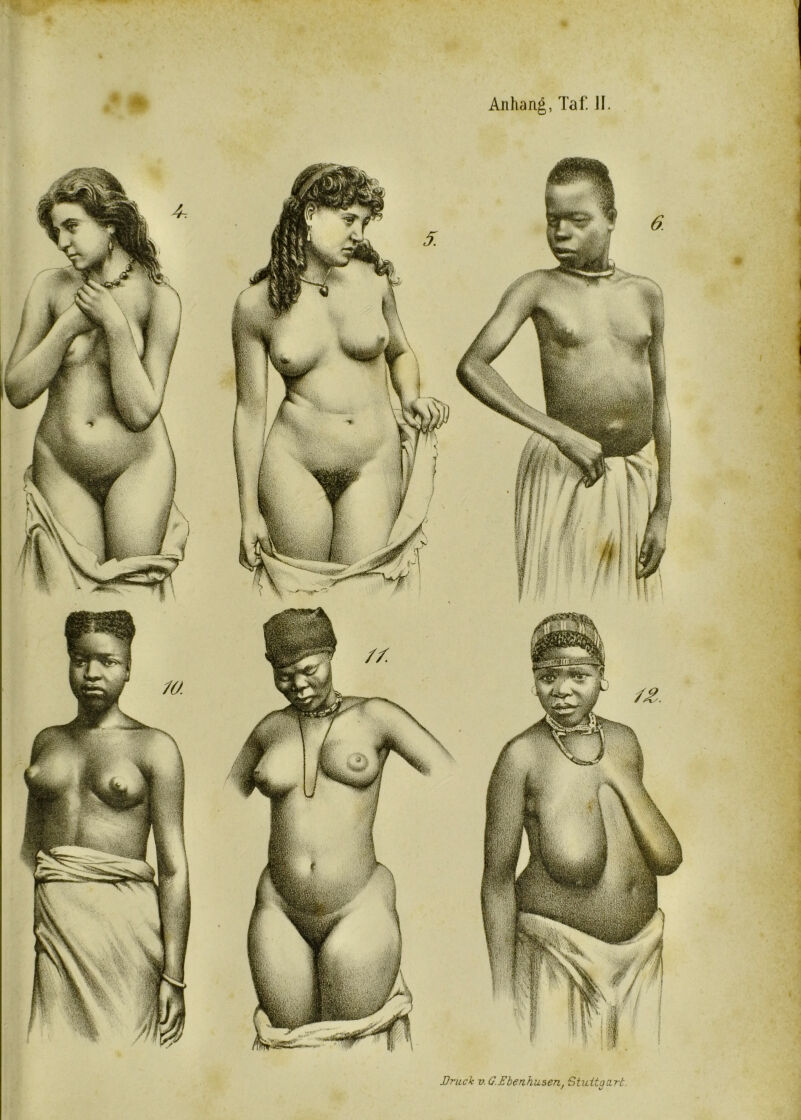 Anhang, Taf. JI. Druck v. G. Ebenhusen, Stv.itga.rt.