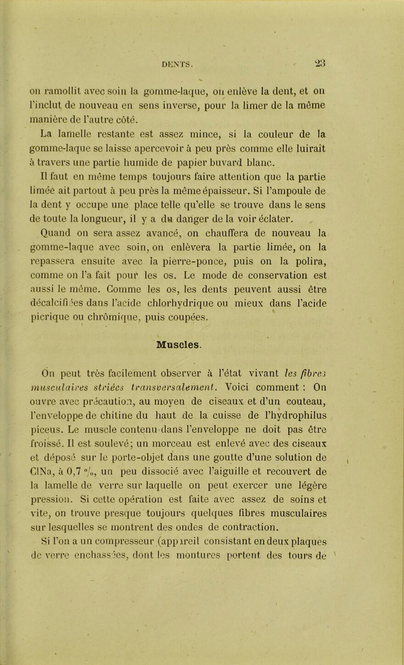 on ramollit avec soin la gomme-laque, on enlève la dent, et on l’inclut de nouveau en sens inverse, pour la limer de la môme manière de l’autre côté. La lamelle restante est assez mince, si la couleur de la gomme-laque se laisse apercevoir à peu près comme elle luirait à travers une partie humide de papier buvard blanc. Il faut en même temps toujours faire attention que la partie limée ait partout à peu près la même épaisseur. Si l’ampoule de la dent y occupe une place telle qu’elle se trouve dans le sens de toute la longueur, il y a du danger de la voir éclater. Quand on sera assez avancé, on chauffera de nouveau la gomme-laque avec soin, on enlèvera la partie limée, on la repassera ensuite avec la pierre-ponce, puis on la polira, comme on l’a fait pour les os. Le mode de conservation est aussi le même. Gomme les os, les dents peuvent aussi être décalcifiées dans l’acide chlorhydrique ou mieux dans l’acide picrique ou chrômique, puis coupées. i \ « • Muscles. On peut très facilement observer à l’état vivant les fibres musculaires striées transversalement. Voici comment : On ouvre avec précaution, au moyen de ciseaux et d’un couteau, \ l’enveloppe de chitine du haut de la cuisse de l’hydrophilus piceus. Le muscle contenu dans l’enveloppe ne doit pas être froissé. Il est soulevé; un morceau est enlevé avec des ciseaux et déposé sur le porte-objet dans une goutte d’une solution de CINa, à 0,7 %, un peu dissocié avec l’aiguille et recouvert de la lamelle de verre sur laquelle on peut exercer une légère pression. Si cette opération est faite avec assez de soins et vite, on trouve presque toujours quelques fibres musculaires sur lesquelles se montrent des ondes de contraction. Si l’on a un compresseur (appareil consistant en deux plaques de verre enchâssées, dont les montures portent des tours de