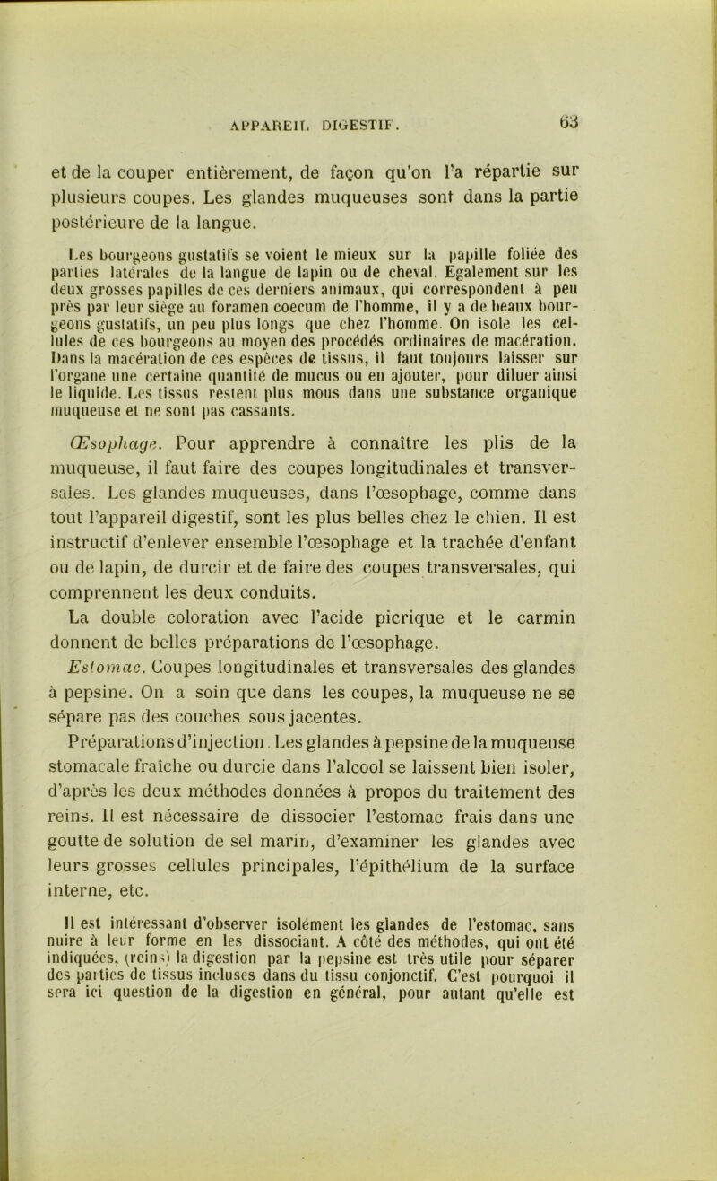 6Ü et de la couper entièrement, de façon qu’on l’a répartie sur plusieurs coupes. Les glandes muqueuses sont dans la partie postérieure de la langue. Les bourgeons gustatifs se voient le mieux sur la papille foliée des parties latérales de la langue de lapin ou de cheval. Egalement sur les deux grosses papilles de ces derniers animaux, qui correspondent à peu près p3r leur siège au foramen coecum de l’homme, il y a de beaux bour- geons gustatifs, un peu plus longs que chez l’homme. On isole les cel- lules de ces bourgeons au moyen des procédés ordinaires de macération. Dans la macération de ces espèces de tissus, il faut toujours laisser sur l’organe une certaine quantité de mucus ou en ajouter, pour diluer ainsi le liquide. Les tissus restent plus mous dans une substance organique muqueuse et ne sont pas cassants. Œsophage. Pour apprendre à connaître les plis de la muqueuse, il faut faire des coupes longitudinales et transver- sales. Les glandes muqueuses, dans l’oesophage, comme dans tout l’appareil digestif, sont les plus belles chez le chien. Il est instructif d’enlever ensemble l’œsophage et la trachée d’enfant ou de lapin, de durcir et de faire des coupes transversales, qui comprennent les deux conduits. La double coloration avec l’acide picrique et le carmin donnent de belles préparations de l’œsophage. Estomac. Coupes longitudinales et transversales des glandes à pepsine. On a soin que dans les coupes, la muqueuse ne se sépare pas des couches sous jacentes. Préparations d’injection Les glandes à pepsine de la muqueuse stomacale fraîche ou durcie dans l’alcool se laissent bien isoler, d’après les deux méthodes données à propos du traitement des reins. Il est nécessaire de dissocier l’estomac frais dans une goutte de solution de sel marin, d’examiner les glandes avec leurs grosses cellules principales, l’épithélium de la surface interne, etc. Il est intéressant d’observer isolément les glandes de l’estomac, sans nuire ü leur forme en les dissociant. A côté des méthodes, qui ont été indiquées, peins) la digestion par la pepsine est très utile pour séparer des paities de tissus incluses dans du tissu conjonctif. C’est pourquoi il sera ici question de la digestion en général, pour autant qu’elle est