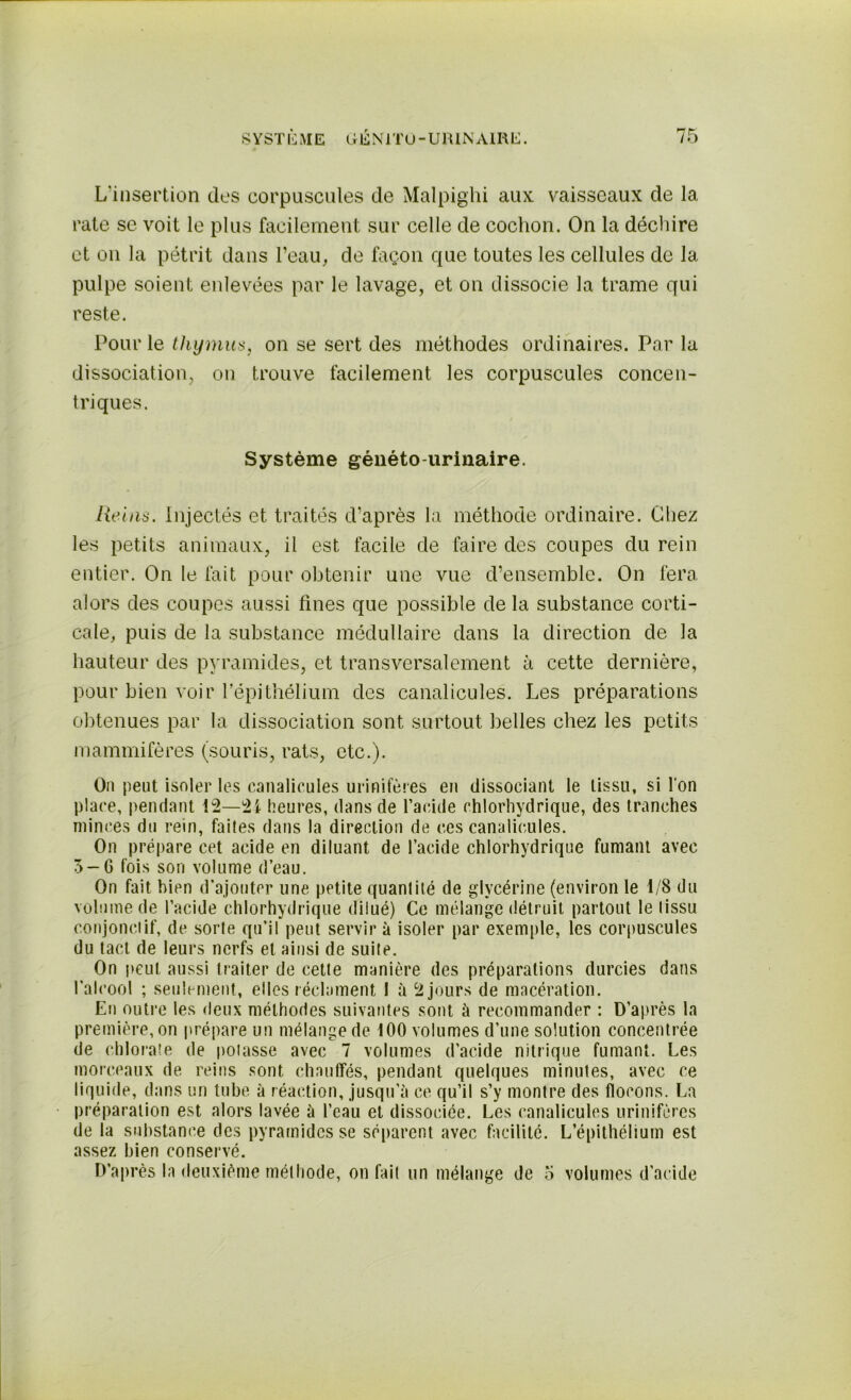 L’insertion des corpuscules de Malpighi aux vaisseaux de la rate se voit le plus facilement sur celle de cochon. On la déchire et on la pétrit dans l’eau, de façon que toutes les cellules de la pulpe soient enlevées par le lavage, et on dissocie la trame qui reste. Pour le thymus, on se sert des méthodes ordinaires. Par la dissociation, on trouve facilement les corpuscules concen- triques. Système généto-urinaire. Reins. Injectés et traités d’après la méthode ordinaire. Chez les petits animaux, il est facile de faire des coupes du rein entier. On le fait pour obtenir une vue d’ensemble. On fera alors des coupes aussi fines que possible de la substance corti- cale, puis de la substance médullaire dans la direction de la hauteur des pyramides, et transversalement à cette dernière, pour bien voir l'épithélium des canalicules. Les préparations obtenues par la dissociation sont surtout belles chez les petits mammifères (souris, rats, etc.). On peut isoler les canalicules urinifères en dissociant le tissu, si l'on place, pendant 12—21 heures, dans de l’acide chlorhydrique, des tranches minces du rein, faites dans la direction de ces canalicules. On prépare cet acide en diluant de l’acide chlorhydrique fumant avec 3-G fois son volume d’eau. On fait bien d’ajouter une petite quantité de glycérine (environ le 1/8 du volume de l’acide chlorhydrique dilué) Ce mélange détruit partout le tissu conjonctif, de sorte qu’il peut servir à isoler par exemple, les corpuscules du tact de leurs nerfs et ainsi de suite. On peut aussi traiter de cette manière des préparations durcies dans l’alcool ; seulement, elles réclament 1 à 2 jours de macération. En outre les deux méthodes suivantes sont à recommander : D’après la première, on prépare un mélange de 100 volumes d’une solution concentrée de chlorate de potasse avec 7 volumes d’acide nitrique fumant. Les morceaux de reins sont chauffés, pendant quelques minutes, avec ce liquide, dans un tube à réaction, jusqu’à ce qu’il s’y montre des flocons. La préparation est alors lavée à l’eau et dissociée. Les canalicules urinifères de la substance des pyramides se séparent avec facilité. L’épithélium est assez bien conservé. D’après la deuxième méthode, on fait un mélange de 5 volumes d’acide