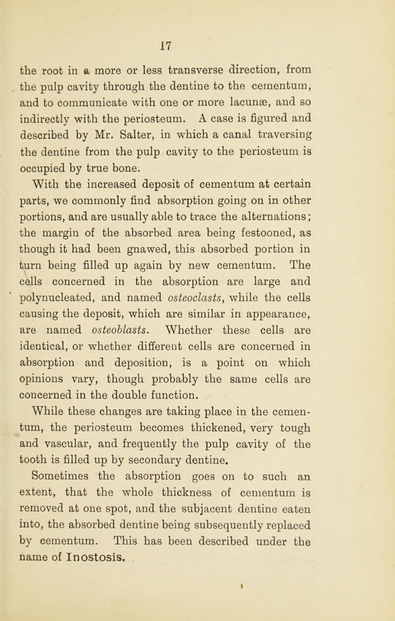 the root in a more or less transverse direction, from the pulp cavity through the dentine to the cernentum, and to communicate with one or more lacunae, and so indirectly with the periosteum. A case is figured and described by Mr. Salter, in which a canal traversing the dentine from the pulp cavity to the periosteum is occupied by true bone. With the increased deposit of cernentum at certain parts, we commonly find absorption going on in other portions, and are usually able to trace the alternations; the margin of the absorbed area being festooned, as though it had been gnawed, this absorbed portion in turn being filled up again by new cernentum. The cells concerned in the absorption are large and poly nucleated, and named osteoclasts, while the cells causing the deposit, which are similar in appearance, are named osteoblasts. Whether these cells are identical, or whether different cells are concerned in absorption and deposition, is a point on which opinions vary, though probably the same cells are concerned in the double function. While these changes are taking place in the cemen- tum, the periosteum becomes thickened, very tough and vascular, and frequently the pulp cavity of the tooth is filled up by secondary dentine. Sometimes the absorption goes on to such an extent, that the whole thickness of cernentum is removed at one spot, and the subjacent dentine eaten into, the absorbed dentine being subsequently replaced by cernentum. This has been described under the name of Inostosis. I
