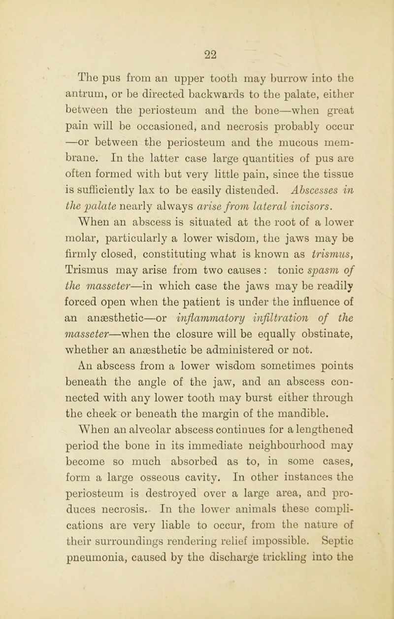 The pus from an upper tooth may burrow into the antrum, or be directed backwards to the palate, either between the periosteum and the bone—when great pain will be occasioned^ and necrosis probably occur —or between the periosteum and the mucous mem- brane. In the latter case large quantities of pus are often formed with but very little pain, since the tissue is sufficiently lax to be easily distended. Abscesses in the palate nearly always arise from lateral incisors. When an abscess is situated at the root of a lower molar, particularly a lower wisdom, the jaws may be firmly closed, constituting what is known as trismus, Trismus may arise from two causes : tonic spasm of the masseter—in which case the jaws may be readily forced open when the patient is under the influence of an anaesthetic—or inflammatory infiltration of the masseter—when the closure will be equally obstinate, whether an anaesthetic be administered or not. An abscess from a lower wisdom sometimes points beneath the angle of the jaw, and an abscess con- nected with any lower tooth may burst either through the cheek or beneath the margin of the mandible. When an alveolar abscess continues for a lengthened period the bone in its immediate neighbourhood may become so much absorbed as to, in some cases, form a large osseous cavity. In other instances the periosteum is destroyed over a large area, and pro- duces necrosis.- In the lower animals these compli- cations are very liable to occur, from the nature of their surroundings rendering relief impossible. Septic pneumonia, caused by the discharge trickling into the