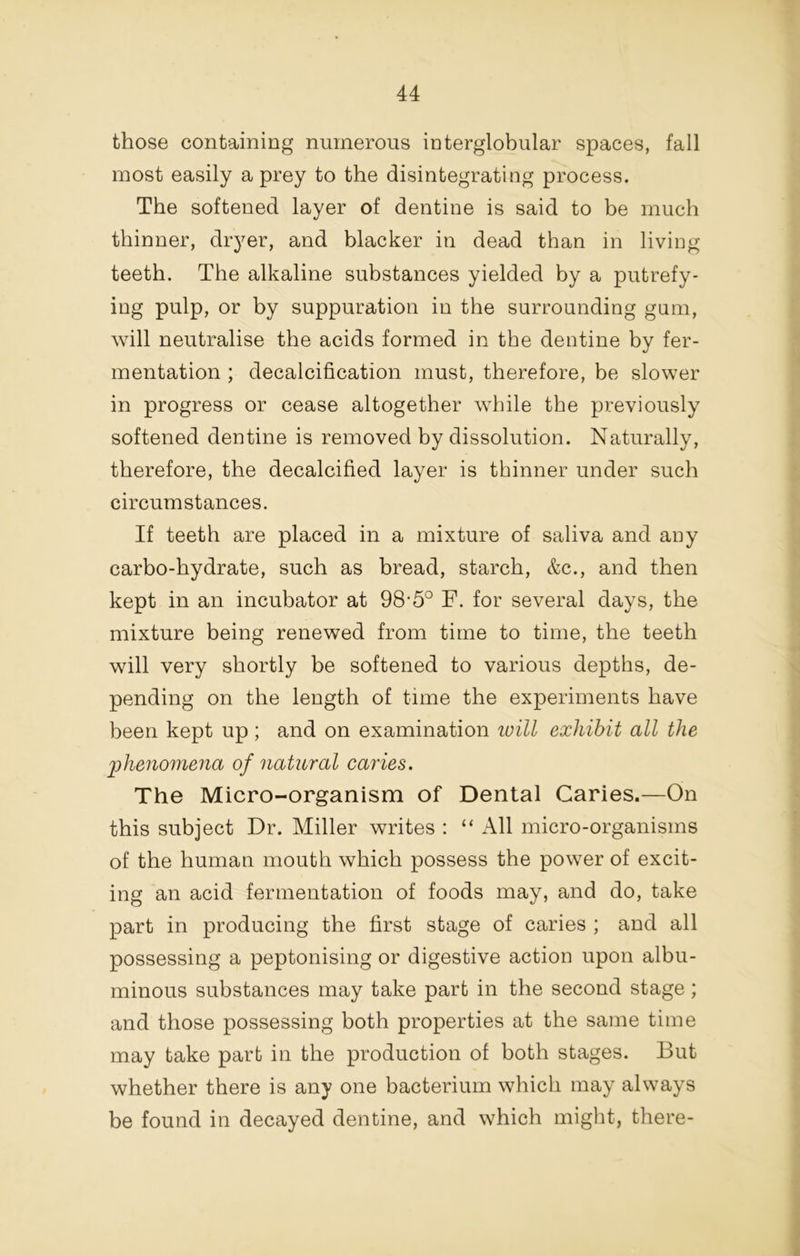 those containing numerous interglobular spaces, fall most easily a prey to the disintegrating process. The softened layer of dentine is said to be much thinner, dryer, and blacker in dead than in living teeth. The alkaline substances yielded by a putrefy- ing pulp, or by suppuration in the surrounding gum, will neutralise the acids formed in the dentine by fer- mentation ; decalcification must, therefore, be slower in progress or cease altogether while the previously softened dentine is removed by dissolution. Naturally, therefore, the decalcified layer is thinner under such circumstances. If teeth are placed in a mixture of saliva and any carbo-hydrate, such as bread, starch, &c., and then kept in an incubator at 98’5° F. for several days, the mixture being renewed from time to time, the teeth will very shortly be softened to various depths, de- pending on the length of time the experiments have been kept up ; and on examination loill exhibit all the 2)henomena of natural caries. The Micro-organism of Dental Caries.—On this subject Dr. Miller writes : “ All micro-organisms of the human mouth which possess the power of excit- ing an acid fermentation of foods may, and do, take part in producing the first stage of caries ; and all possessing a peptonising or digestive action upon albu- minous substances may take part in the second stage; and those possessing both properties at the same time may take part in the production of both stages. But whether there is any one bacterium which may always be found in decayed dentine, and which might, there-