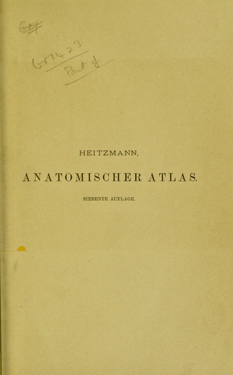 HEI TZ MANN, ANATOMISCHER ATLAS. SIEBENTE AUFLAGE.