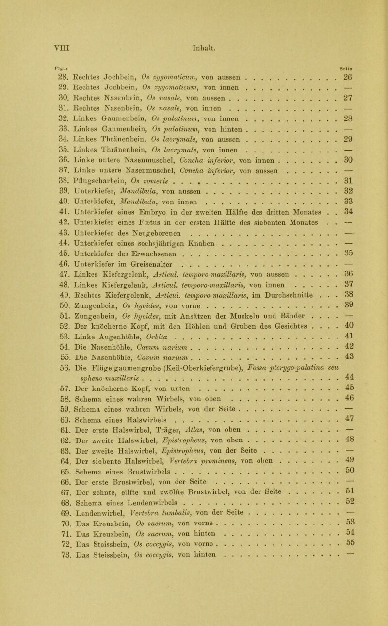 Figur Seite 28. Rechtes Jochbein, Os zygomaticum, von aussen 26 29. Rechtes Jochbein, Os zygomaticum, von innen — 30. Rechtes Nasenbein, Os nasale, von aussen 27 31. Rechtes Nasenbein, Os nasale, von innen — 32. Linkes Gaumenbein, Os palatinum, von innen 28 33. Linkes Gaumenbein, Os palatinum, von hinten — 34. Linkes Thränenbein, Os lacrymale, von aussen 29 35. Linkes Thränenbein, Os lacrymale, von innen — 36. Linke untere Nasenmuschel, Concha inferior, von innen 30 37. Linke untere Nasenmuschel, Concha inferior, von aussen — 38. Pflugscharbein, Os vomeris 31 39. Unterkiefer, Mandibula, von aussen 32 40. Unterkiefer, Mandibula, von innen 33 41. Unterkiefer eines Embryo in der zweiten Hälfte des dritten Monates . . 34 42. Unterkiefer eines Foetus in der ersten Hälfte des siebenten Monates . . — 43. Unterkiefer des Neugeborenen — 44. Unterkiefer eines sechsjährigen Knaben — 45. Unterkiefer des Erwachsenen 35 46. Unterkiefer im Greisenalter — 47. Linkes Kiefergelenk, Articul. temporo-maxillaris, von aussen 36 48. Linkes Kiefergelenk, Articul. temporo-maxillaris, von innen 37 49. Rechtes Kiefergelenk, Articul. temporo-maxillaris, im Durchschnitte ... 38 50. Zungenbein, Os hyoides, von vorne 39 51. Zungenbein, Os hyoides, mit Ansätzen der Muskeln und Bänder .... — 52. Der knöcherne Kopf, mit den Höhlen und Gruben des Gesichtes .... 40 53. Linke Augenhöhle, Orbita 41 54. Die Nasenhöhle, Cavum narium 42 55. Die Nasenhöhle, Cavum narium 43 56. Die Flügelgaumengrube (Keil-Oberkiefergrube), Fossa pterygo-palatina seu spheno-maxillaris 44 57. Der knöcherne Kopf, von unten 45 58. Schema eines wahren Wirbels, von oben 46 59. Schema eines wahren Wirbels, von der Seite — 60. Schema eines Halswirbels 47 61. Der erste Halswirbel, Träger, Atlas, von oben — 62. Der zweite Halswirbel, Fpistropheus, von oben 48 63. Der zweite Halswirbel, Fpistropheus, von der Seite — 64. Der siebente Halswirbel, Vertebra prominens, von oben 49 65. Schema eines Brustwirbels 50 66. Der erste Brustwirbel, von der Seite — 67. Der zehnte, eilfte und zwölfte Brustwirbel, von der Seite 51 68. Schema eines Lendenwirbels 52 69. Lendenwirbel, Vertebra lumbalis, von der Seite 70. Das Kreuzbein, Os sacrum, von vorne 53 71. Das Kreuzbein, Os sacrum, von hinten 54 72. Das Steissbein, Os coccygis, von vorne 55 73. Das Steissbein, Os coccygis, von hinten
