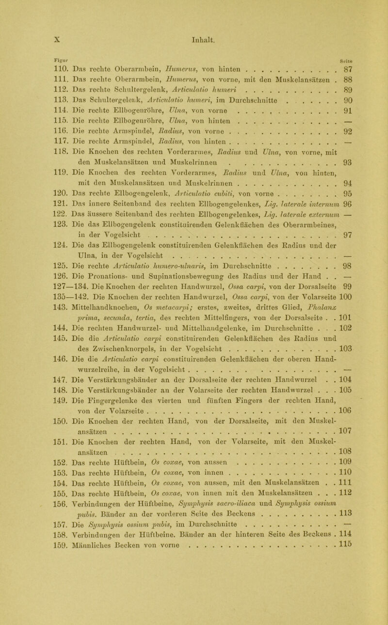 Figl»- Seite 110. Das rechte Oberarmbein, Humerus, von hinten 87 111. Das rechte Oberarmbein, Humerus, von vorne, mit den Muskelansätzen . 88 112. Das rechte Schultergelenk, Articulatio humeri 89 113. Das Sehultergelenk, Articulatio humeri, im Durchschnitte 90 114. Die rechte Ellbogenröhre, Ulna, von vorne 91 115. Die rechte Ellbogenröhre, Ulna, von hinten — 11(3. Die rechte Armspindel, Radius, von vorne 92 117. Die rechte Armspindel, Radius, von hinten — 118. Die Knochen des rechten Vorderarmes, Radius und Ulna, von vorne, mit den Muskelansätzen und Muskelrinnen 93 119. Die Knochen des rechten Vorderarmes, Radius und Ulna, von hinten, mit den Muskelansätzen und Muskelrinnen 94 120. Das rechte Ellbogengelenk, Articulatio cubiti, von vorne 95 121. Das innere Seitenband des rechten Ellbogengelenkes, Lig. laterale internum 96 122. Das äussere Seitenband des rechten Ellbogengelenkes, Rig. laterale externum — 123. Die das Ellbogengelenk constituirenden Gelenkflächen des Oberarmbeines, in der Vogelsicht 97 124. Die das Ellbogengelenk constituirenden Gelenkflächen des Radius und der Ulna, in der Vogelsicht — 125. Die rechte Articulatio humero-ulnaris, im Durchschnitte 98 126. Die Pronations- und Supinationsbewegung des Radius und der Hand . . — 127—134. Die Knochen der rechten Handwurzel, Ossa carpi, von der Dorsalseite 99 135—142. Die Knochen der rechten Handwurzel, Ossa carpi, von der Volarseite 100 143. Mittelhandknochen, Os metacarpi; erstes, zweites, drittes Glied, Phalanx prima, secunda, tertia, des rechten Mittelfingers, von der Dorsalseite . . 101 144. Die rechten Handwurzel- und Mittelhandgelenke, im Durchschnitte . . . 102 145. Die die Articulatio carpi constituirenden Gelenkflächen des Radius und des Zwischenknorpels, in der Vogelsicht 103 146. Die die Articulatio carpi constituirenden Gelenkflächen der oberen Hand- wurzelreihe, in der Vogelsicht — 147. Die Verstärkungsbänder an der Dorsalseite der rechten Handwurzel . . 104 148. Die Verstärkungsbänder an der Volarseite der rechten Handwurzel . . . 105 149. Die Eingergelenke des vierten und fünften Fingers der rechten Hand, von der Volarseite 106 150. Die Knochen der rechten Hand, von der Dorsalseite, mit den Muskel- ansätzen 107 151. Die Knochen der rechten Hand, von der Volarseite, mit den Muskel- ansätzen 108 152. Das rechte Hüftbein, Os coxae, von aussen 109 153. Das rechte Hüftbein, Os coxae, von innen 110 154. Das rechte Hüftbein, Os coxae, von aussen, mit den Muskelansätzen . .111 155. Das rechte Hüftbein, Os coxae, von innen mit den Muskelansätzen . . .112 156. Verbindungen der Hüftbeine, Symphysis sacro-iliaca und Symphysis ossium pubis. Bänder an der vorderen Seite des Beckens 113 157. Die Symphysis ossium pubis, im Durchschnitte — 158. Verbindungen der Hüftbeine. Bänder an der hinteren Seite des Beckens . 114 159. Männliches Becken von vorne 115