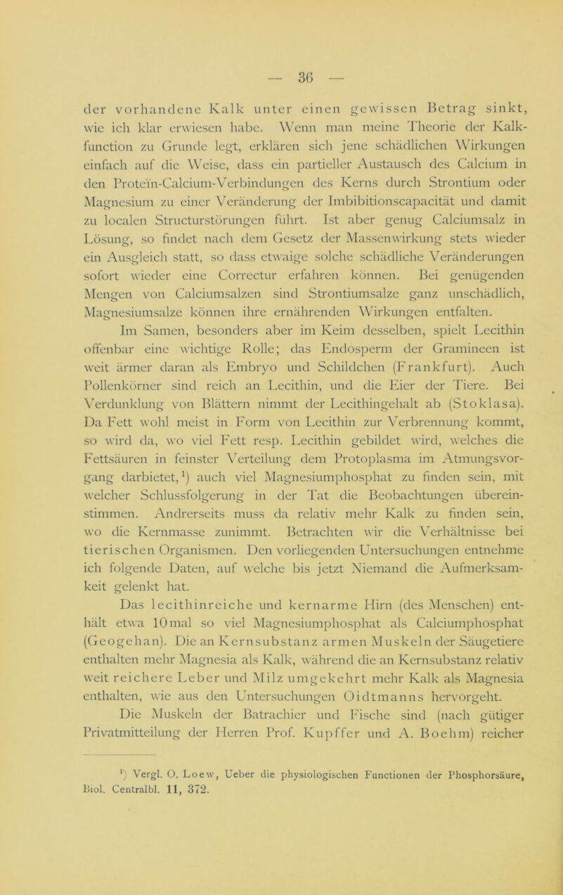 der vorhandene Kalk unter einen gewissen Betrag sinkt, wie ich klar erwiesen habe. Wenn man meine Iheorie der Kalk- function zu Grunde legt, erklären sich jene schädlichen Wirkungen einfach auf die Weise, dass ein partieller Austausch des Calcium in den Protei'n-Calcium-Verbindungen des Kerns durch Strontium oder Magnesium zu einer Veränderung der Imbibitionscapacität und damit zu localen Structurstörungen führt. Ist aber genug Calciumsalz in Lösung, so findet nach dem Gesetz der Massenwirkung stets wieder ein Ausgleich statt, so dass etwaige solche schädliche Veränderungen sofort wieder eine Correctur erfahren können. Bei genügenden Mengen von Calciumsalzen sind Strontiumsalze ganz unschädlich, Magnesiumsalze können ihre ernährenden Wirkungen entfalten. Im Samen, besonders aber im Keim desselben, spielt Lecithin offenbar eine wichtige Rolle; das Endosperm der Gramineen ist weit ärmer daran als Embryo und Schildchen (Frankfurt). Auch Pollenkörner sind reich an Lecithin, und die Eier der Tiere. Bei Verdunklung von Blättern nimmt der Lecithingehalt ab (Stoklasa). Da P'ett wohl meist in Form von Lecithin zur Verbrennung kommt, so wird da, wo viel Fett resp. Lecithin gebildet wird, welches die Fettsäuren in feinster Verteilung dem Protoplasma im Atmungsvor- gang darbietet, auch viel Magnesiumphosphat zu finden sein, mit welcher Schlussfolgerung in der Tat die Beobachtungen überein- stimmen. Andrerseits muss da relativ mehr Kalk zu finden sein, wo die Kernmasse zunimmt. Betrachten wir die Verhältnisse bei tierischen Organismen. Den vorliegenden Untersuchungen entnehme ich folgende Daten, auf welche bis jetzt Niemand die Aufmerksam- keit gelenkt hat. Das lecithinreiche und kernarme Hirn (des Menschen) ent- hält etwa 10 mal so viel Magnesiumphosphat als Calciumphosphat (Geogehan). Die an Kernsubstanz armen Muskeln der Säugetiere enthalten mehr Magnesia als Kalk, während die an Kernsubstanz relativ weit reichere Leber und Milz umgekehrt mehr Kalk als Magnesia enthalten, wie aus den Untersuchungen Oidtmanns hervorgeht. Die Muskeln der Batrachier und I'ische sind (nach gütiger Privatmitteilung der Herren Prof. Kupffer und A. Boehm) reicher b Vergl. O. Loew, Ueber die physiologischen Functionen der Phosphorsäure, Biol. Centralbl. 11, 372.