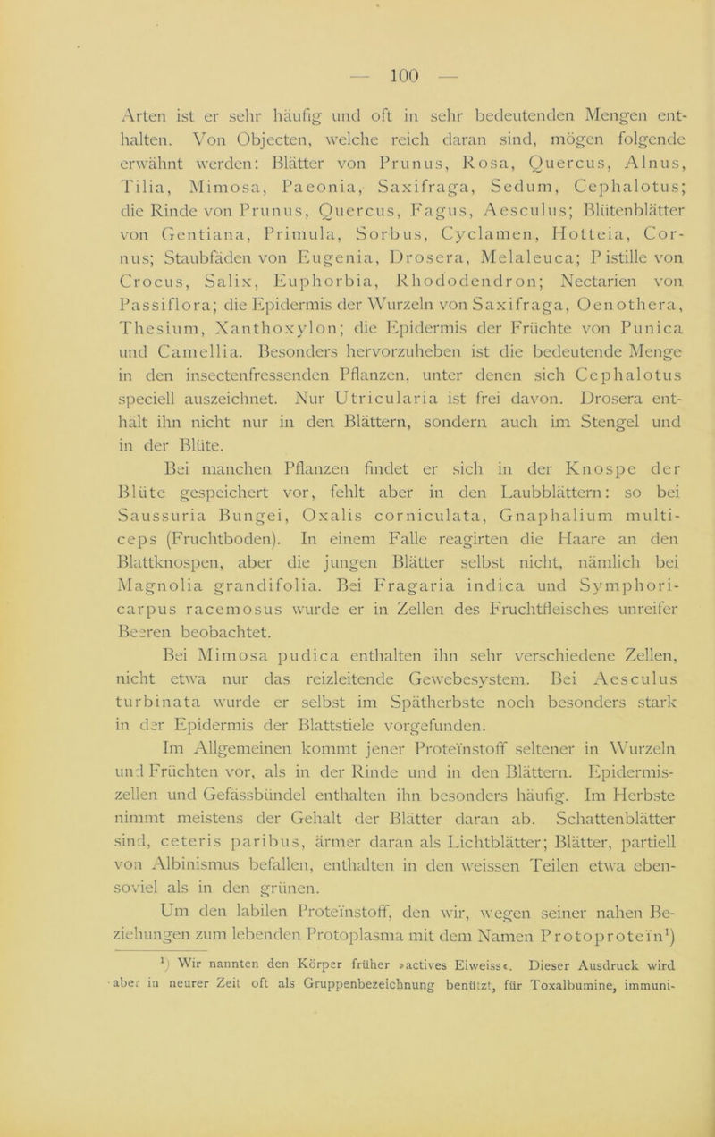 Arten ist er sehr häufig' und oft in sehr bedeutenden Mengen ent- halten. Von Objecten, welche reich daran sind, mögen folgende erwähnt werden: Blätter von Prunus, Rosa, Quercus, Ainus, Tilia, Mimosa, Paeonia, Saxifraga, Sedum, Cephalotus; die Rinde von Prunus, Quercus, P'agus, Aesculus; Blütenblätter von Gentiana, Primula, Sorbus, Cyclamen, Hotteia, Cor- nus; Staubfäden von Eugenia, Drosera, Melaleuca; P istille von CrocLis, Salix, Euphorbia, Rhododendron; Nectarien von Passiflora; die Pipidermis der Wurzeln von Saxifraga, Oenothera, Thesium, Xanthoxylon; die hipidermis der Erüchte von Punica und Camellia. Besonders hervorzuheben ist die bedeutende Menge in den insectenfressenden Pflanzen, unter denen sich Cephalotus speciell auszeichnet. Nur Utricularia ist frei davon. Drosera ent- hält ihn nicht nur in den Blättern, sondern auch im Stengel und in der Blüte. Bei manchen Pflanzen findet er sich in der Knospe der Blüte gespeichert vor, fehlt aber in den Laubblättern: so bei Saussuria Bungei, Oxalis corniculata, Gnaphalium multi- ceps (Fruchtboden). In einem Ealle reagirten die Haare an den Blattknospen, aber die jungen Blätter selbst nicht, nämlich bei M agnolia grandifolia. Bei P'ragaria indica und Symphori- carpus racemosus wurde er in Zellen des P'ruchtfleisches unreifer Beeren beobachtet. Bei Mimosa pudica enthalten ihn sehr verschiedene Zellen, nicht etwa nur das reizleitende Gewebesystem. Bei Aesculus turbinata wurde er selb.st im Spätherbste noch besonders stark in der Epidermis der Blattstiele vorgefunden. Im Allgemeinen kommt jener Proteinstofif seltener in Wurzeln und Erüchten vor, als in der Rinde und in den Blättern. Plpidermis- zellen und Gefässbündel enthalten ihn besonders häufig. Im Herbste nimmt meistens der Gehalt der Blätter daran ab. Schattenblätter sind, ceteris paribus, ärmer daran als Eichtblätter; Blätter, partiell von Albinismus befallen, enthalten in den weissen Teilen etwa eben- soviel als in den grünen. Um den labilen Proteinstofif, den wir, wegen seiner nahen Be- ziehungen zum lebenden Protoplasma mit dem Namen P rotoprotein^) b Wir nannten den Körper früher »actives Eiweissc. Dieser Ausdruck wird aber in neurer Zeit oft als Gruppenbezeichnung benützt, für Toxalburaine, iinmuni-