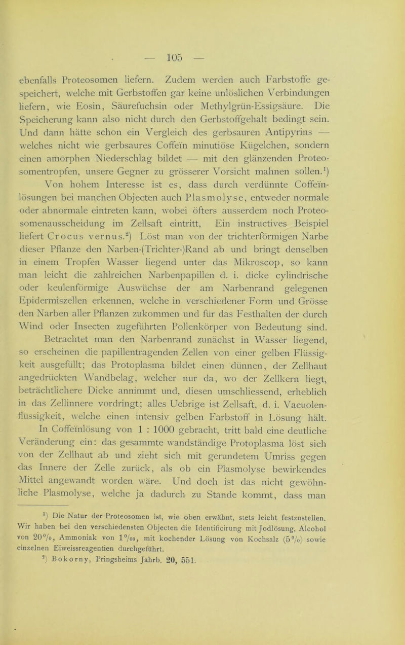 ebenfalls Proteosomen liefern. Zudem werden auch Farbstofte ge- speichert, welche mit Gerbstoffen gar keine unlöslichen Verbindungen liefern, wie tiosin, Säurefuchsin oder Methylgriin-Essigsäure. Die Speicherung kann also nicht durch den Gerbstoftgehalt bedingt sein. Und dann hätte schon ein V^ergleich des gerbsauren Antipyrins — welches nicht wie gerbsaures Coffein minutiöse Kügelchen, sondern einen amorphen Niederschlag bildet — mit den glänzenden Proteo- somentropfen, unsere Gegner zu grösserer Vorsicht mahnen sollen.’) Wn hohem Interesse ist es, dass durch verdünnte Coffein- lösungen bei manchen Objecten auch Plasmolyse, entweder normale oder abnormale eintreten kann, wobei öfters ausserdem noch Proteo- somenausscheidung im Zellsaft eintritt, Eün instructives Beispiel liefert Crocus vernus.') Löst man von der trichterförmigen Narbe dieser Pflanze den Narben-(Trichter-)Rand ab und bringt denselben in einem Tropfen Wasser liegend unter das Mikroscop, so kann man leicht die zahlreichen Narbenpapillen d. i. dicke cylindrische oder keulenförmige Auswüchse der am Narbenrand gelegenen Iipidermiszellen erkennen, welche in verschiedener Form und Grösse den Narben aller Pflanzen zukommen und für das P^esthalten der durch Wind oder Insecten zugeführten Pollenkörper von Bedeutung sind. Betrachtet man den Narbenrand zunächst in Wasser liegfend, so erscheinen die papillentragenden Zellen von einer gelben Flüssig- keit ausgefüllt; das Protoplasma bildet einen dünnen, der Zellhaut angedrückten Wandbelag, welcher nur da, wo der Zellkern liegt, beträchtlichere Dicke annimmt und, diesen umschliessend, erheblich in das Zellinnere vordringt; alles Uebrige ist Zellsaft, d. i. Vacuolen- flüssigkeit, welche einen intensiv gelben Farbstoff in Lösung hält. In Coffeinlösung von 1 : 1000 gebracht, tritt bald eine deutliche Veränderung ein: das gesammte wandständige Protoplasma löst sich von der Zellhaut ab und zieht sich mit gerundetem Umriss gegen das Innere der Zelle zurück, ^ils ob ein Plasmolyse bewirkendes Mittel angewandt worden wäre. Und doch ist das nicht gewöhn- liche Plasmolyse, welche ja dadurch zu Stande kommt, dass man ^ ) Die Natur der Proteosomen ist, wie oben erwähnt, stets leicht festzustellen. Wir haben bei den verschiedensten Objecten die Identificirung mit Jodlösung, Alcohol von 20®/o, Ammoniak von l®/oo, mit kochender Lösung von Kochsalz (5®/o) sowie einzelnen Eiweissreagentien durchgeführt. Bokorny, Pringsheims Jahrb. 20, 551.
