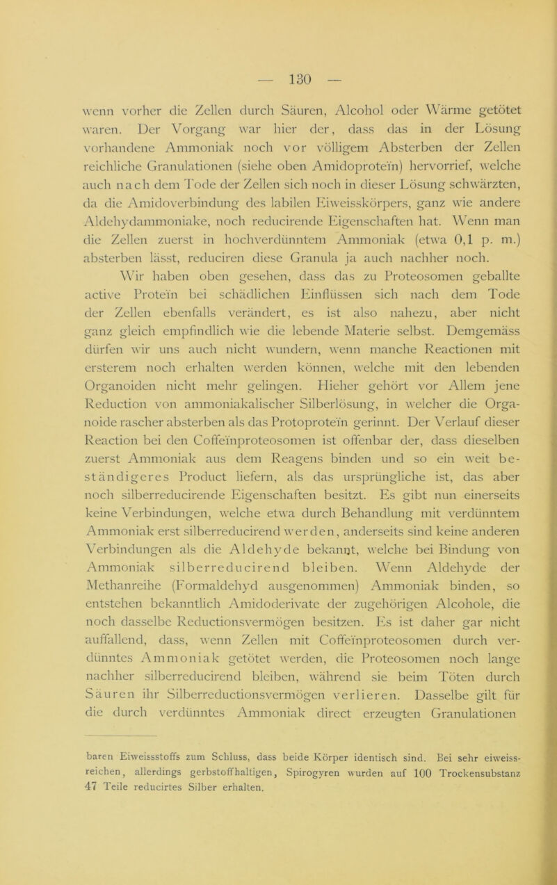 wenn vorher die Zellen durch Säuren, Alcohol oder Wärme getötet waren. Der Vorgang war hier der, dass das in der Lösung vorhandene Ammoniak noch vor völligem Absterben der Zellen reichliche Granulationen (siehe oben Amidoprotei'n) hervorrief, welche auch nach dem l'ode der Zellen sich noch in dieser Lösung schwärzten, da die Amidoverbindung des labilen Kiweisskörpers, ganz wie andere Aldehydammoniake, noch reducirende Ifigcnschaften hat. Wenn man die Zellen zuerst in hochverdünntem Ammoniak (etwa 0,1 p. m.) absterben lässt, reduciren diese Granula ja auch nachher noch. Wir haben oben gesehen, dass das zu Proteosomen geballte active Protein bei schädlichen Punfliissen sich nach dem Tode der Zellen ebenfalls verändert, es i.st also nahezu, aber nicht ganz gleich empfindlich wie die lebende Materie selb.st. Demgemäss dürfen wir uns auch nicht wundern, wenn manche Reactionen mit ersterem noch erhalten werden können, welche mit den lebenden Organoiden nicht mehr gelingen. Llieher gehört v'or Allem jene Reduction von ammoniakalischer Silberlösung, in welcher die Orga- noide rascher absterben als das Protoprotein gerinnt. Der Verlauf dieser Reaction bei den Coffeinproteosomen ist offenbar der, dass dieselben zuerst Ammoniak aus dem Reagens binden und so ein weit be- ständigeres Product liefern, als das ursprüngliche ist, das aber noch silberreducirende Eigenschaften besitzt. Pks gibt nun einerseits keine Verbindungen, welche etwa durch Behandlung mit v^erdünntem Ammoniak erst silberreducirend werden, anderseits sind keine anderen Wrbindungen als die Aldehyde bekannt, welche bei Bindung von Ammoniak silberreducirend bleiben. Wenn Aldehyde der Methanreihe (Formaldehyd ausgenommen) Ammoniak binden, so entstehen bekanntlich Amidoderivate der zugehörigen Alcohole, die noch dasselbe Reductionsvermögen besitzen. Pis ist daher gar nicht auffallend, dass, wenn Zellen mit Coffeinproteosomen durch ver- dünntes Ammoniak getötet werden, die Proteosomen noch lange nachher silberreducirend bleiben, während sie beim Töten durch Säuren ihr Silberreductionsvermögen verlieren. Dasselbe gilt für die durch verdünntes Ammoniak direct erzeugten Granulationen baren Eiweissstoffs zum Schluss, dass beide Körper identisch sind. Bei sehr eiweiss- reichen, allerdings gerbstolfhaltigen, Spirogyren wurden auf 100 Trockensubstanz 47 Teile reducirtes Silber erhalten.