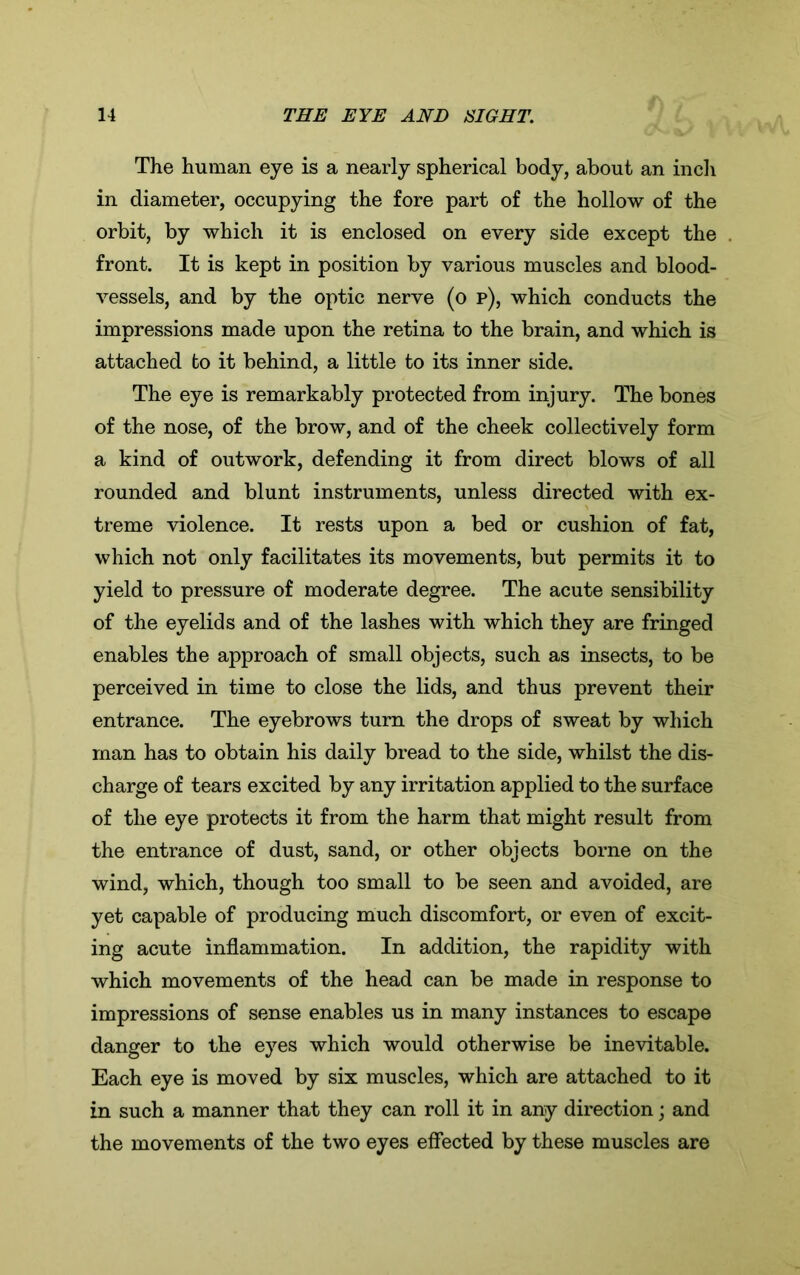 The human eye is a nearly spherical body, about an inch in diameter, occupying the fore part of the hollow of the orbit, by which it is enclosed on every side except the front. It is kept in position by various muscles and blood- vessels, and by the optic nerve (o p), which conducts the impressions made upon the retina to the brain, and which is attached to it behind, a little to its inner side. The eye is remarkably protected from injury. The bones of the nose, of the brow, and of the cheek collectively form a kind of outwork, defending it from direct blows of all rounded and blunt instruments, unless directed with ex- treme violence. It rests upon a bed or cushion of fat, which not only facilitates its movements, but permits it to yield to pressure of moderate degree. The acute sensibility of the eyelids and of the lashes with which they are fringed enables the approach of small objects, such as insects, to be perceived in time to close the lids, and thus prevent their entrance. The eyebrows turn the drops of sweat by which man has to obtain his daily bread to the side, whilst the dis- charge of tears excited by any irritation applied to the surface of the eye protects it from the harm that might result from the entrance of dust, sand, or other objects borne on the wind, which, though too small to be seen and avoided, are yet capable of producing much discomfort, or even of excit- ing acute inflammation. In addition, the rapidity with which movements of the head can be made in response to impressions of sense enables us in many instances to escape danger to the eyes which would otherwise be inevitable. Each eye is moved by six muscles, which are attached to it in such a manner that they can roll it in any direction; and the movements of the two eyes effected by these muscles are